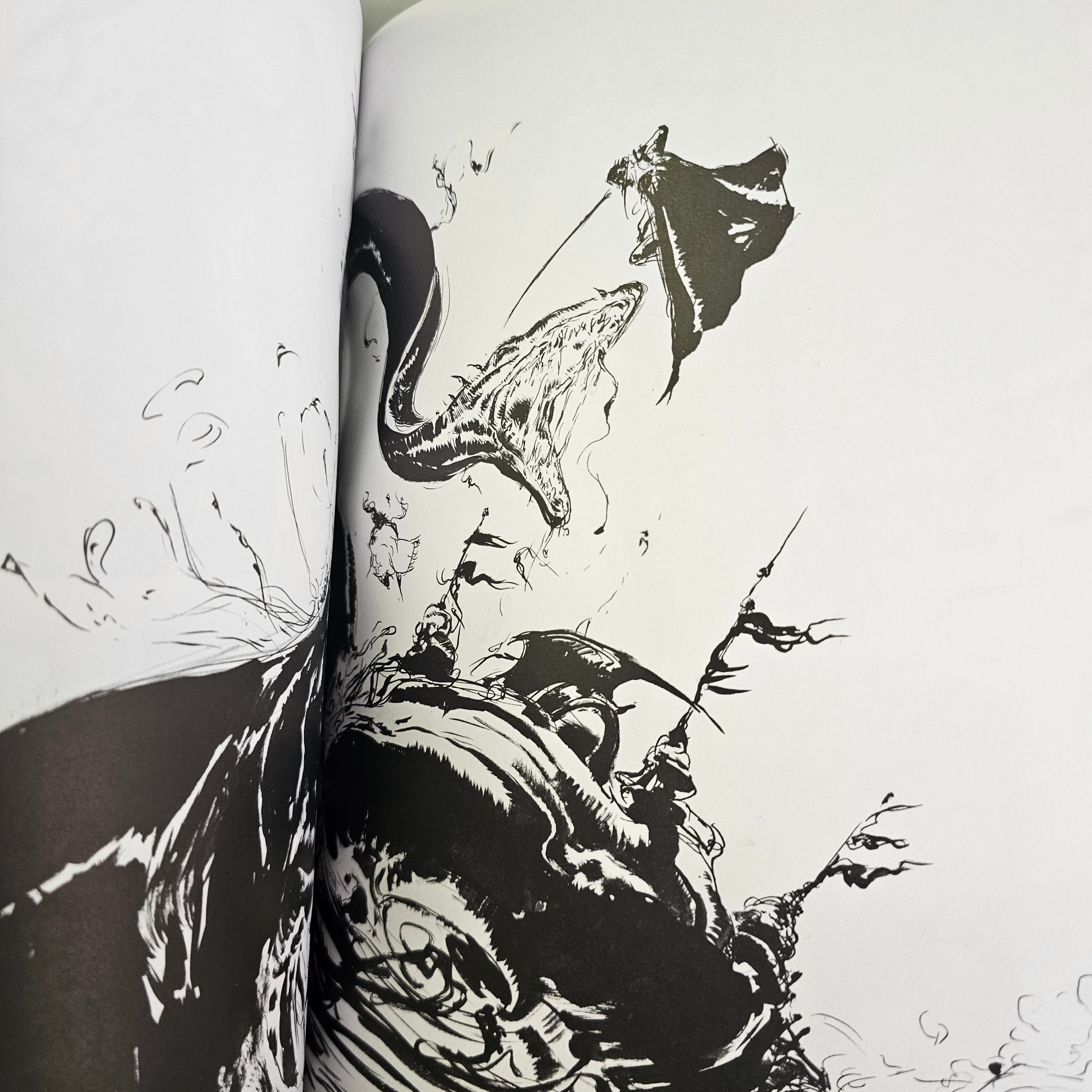 Vampire Hunter D - Artbook