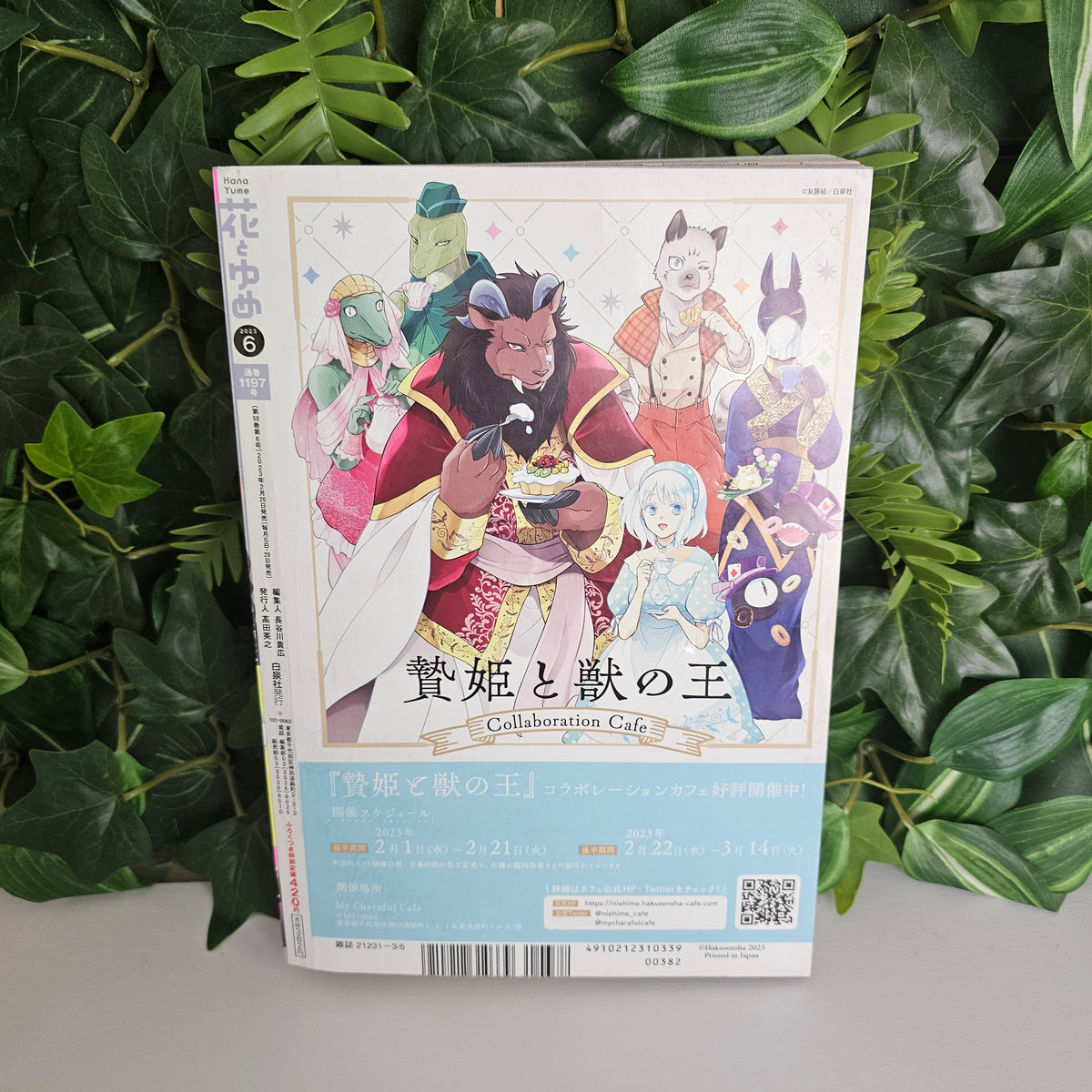 Hana To Yume n°6 (2023) (Tamon's B-Side)