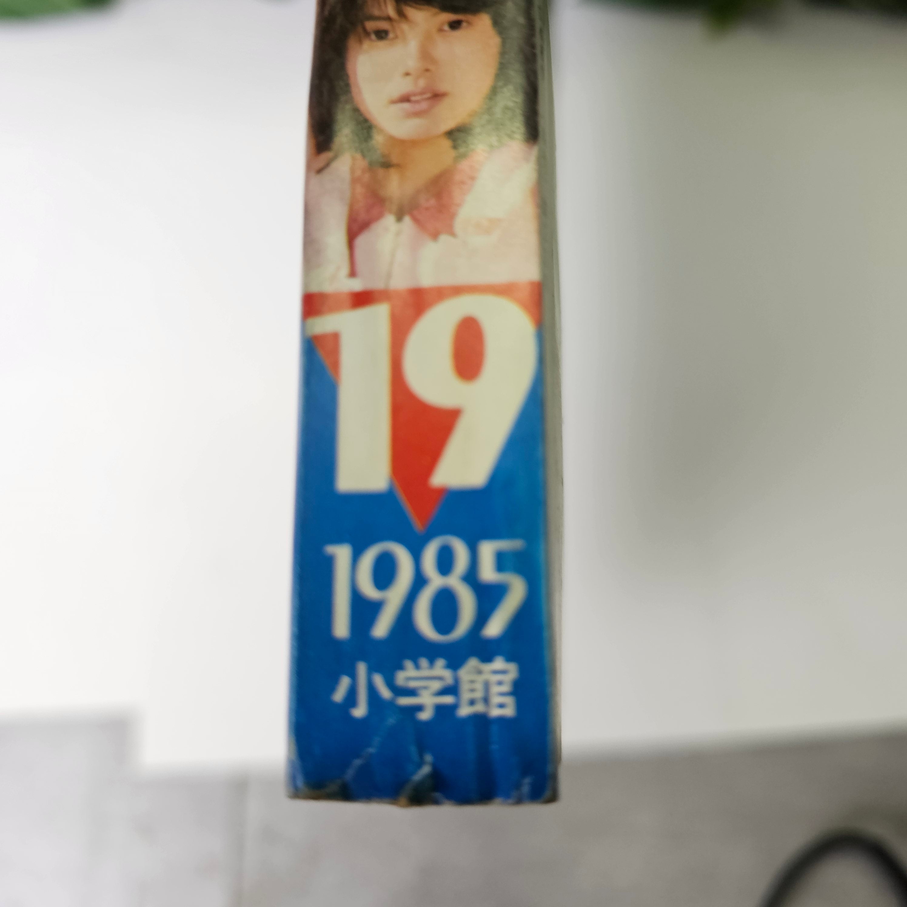 Weekly Shonen Sunday n°19 (1985)