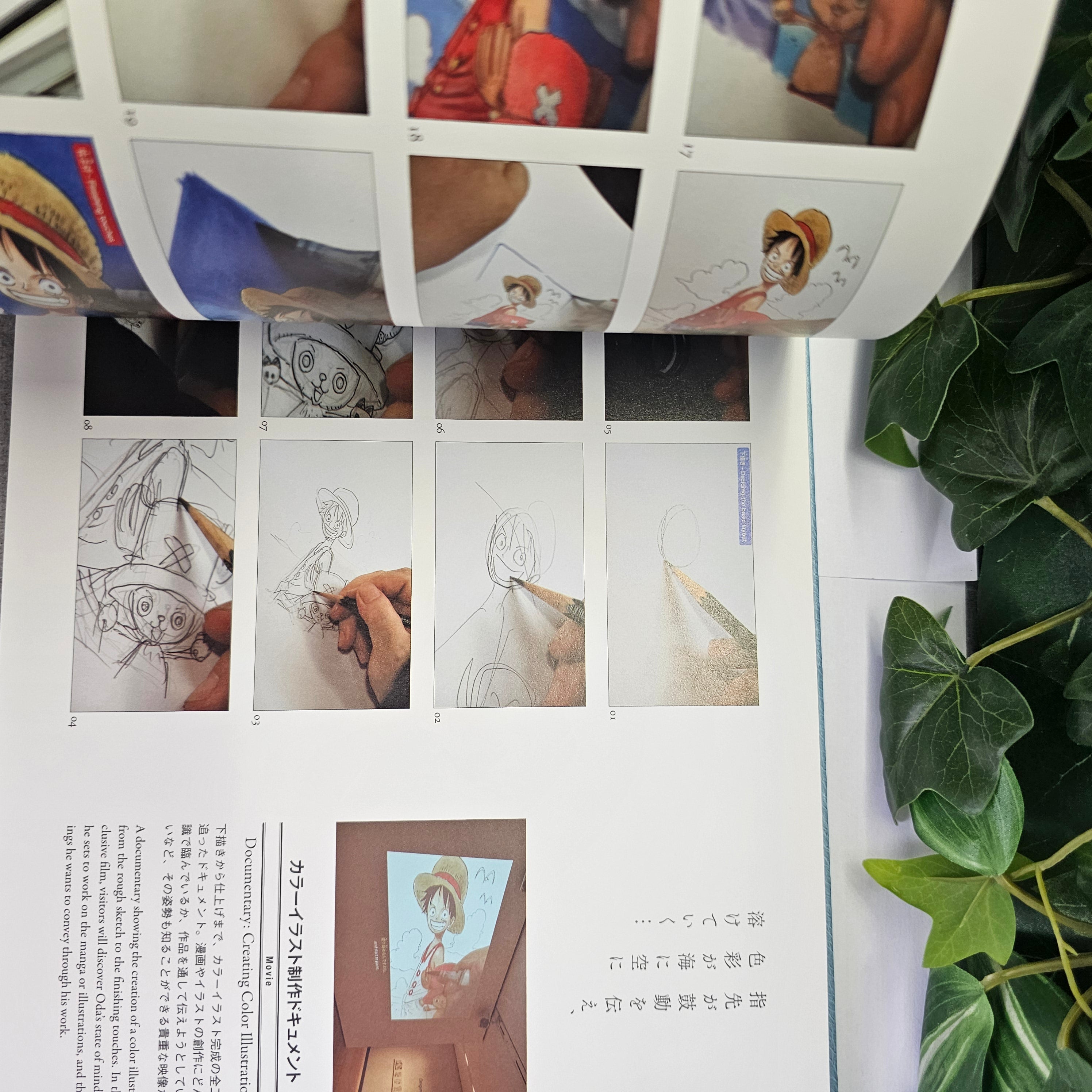 One Piece - (Kioku) Eternal Log - Catalogue Officiel de l'Exposition