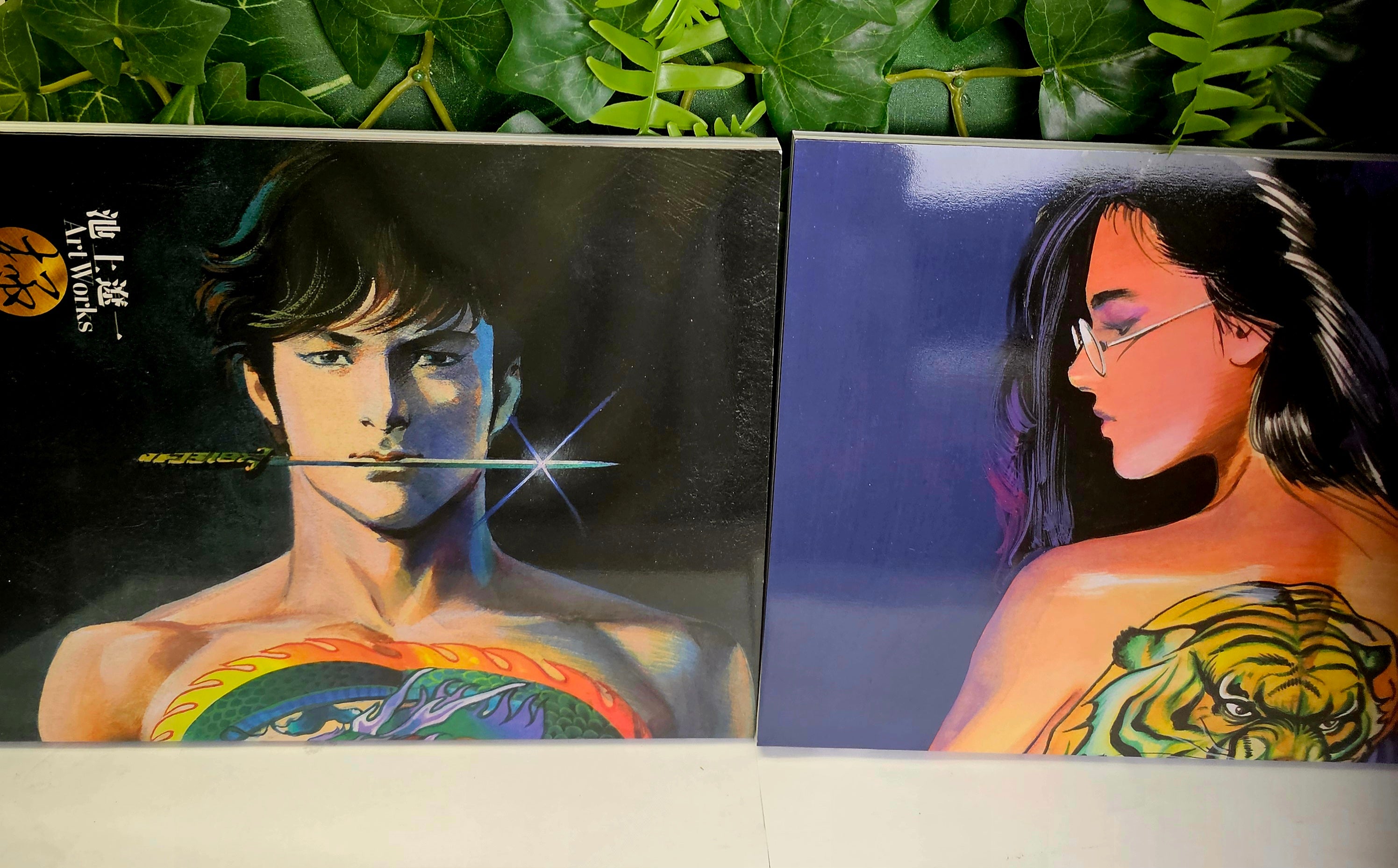 Ryoichi Ikegami Art Works - Japanese Wild and Beauty