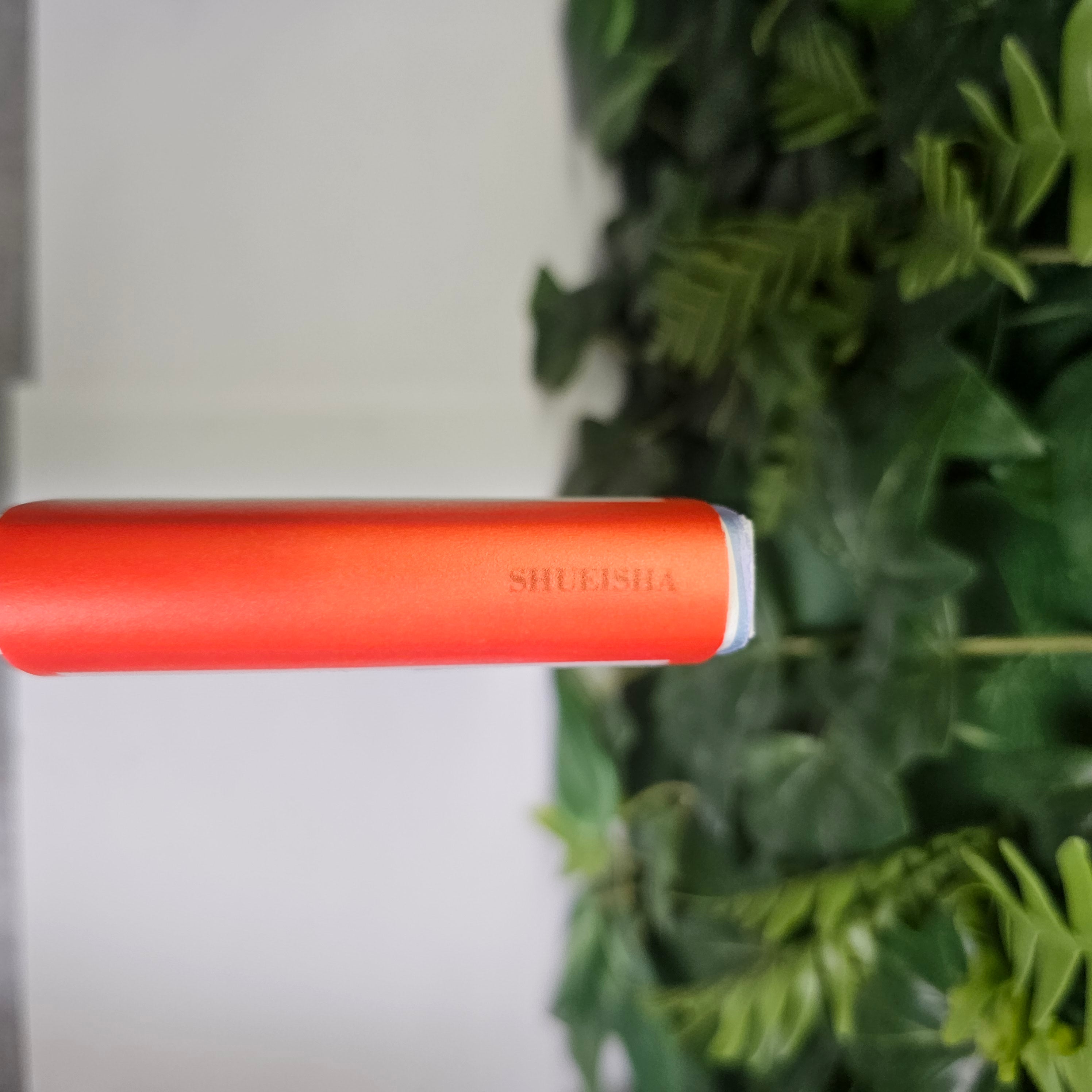 Slam Dunk Illustrations 1