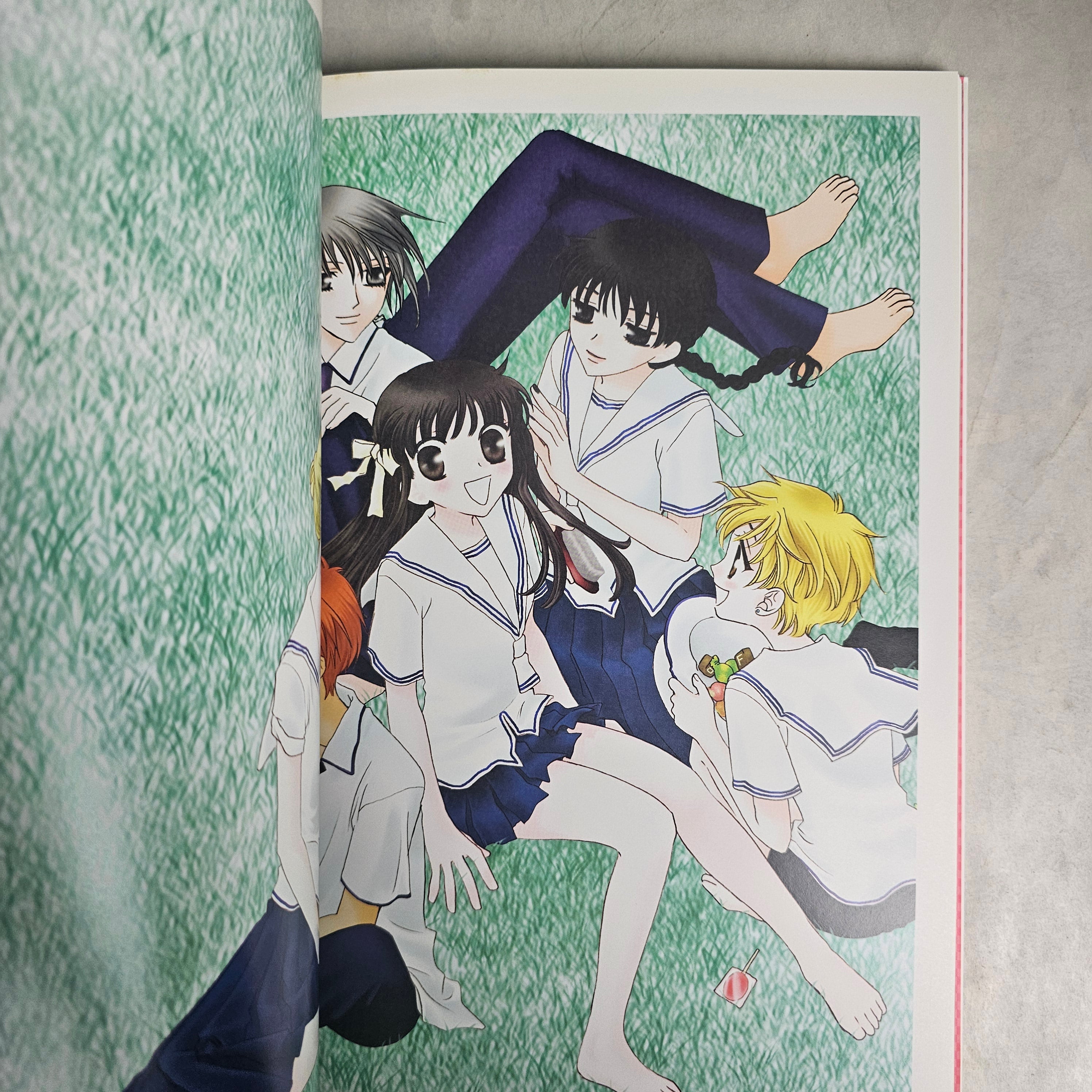 Artbook - Fruit Basket