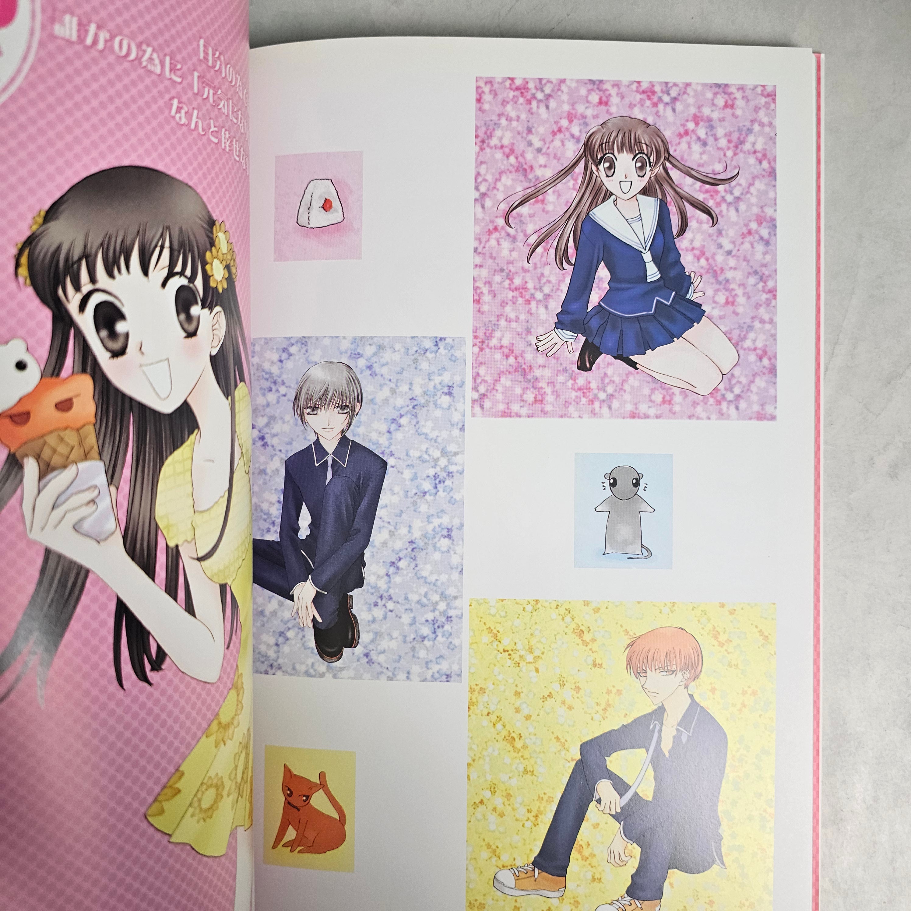 Artbook - Fruit Basket