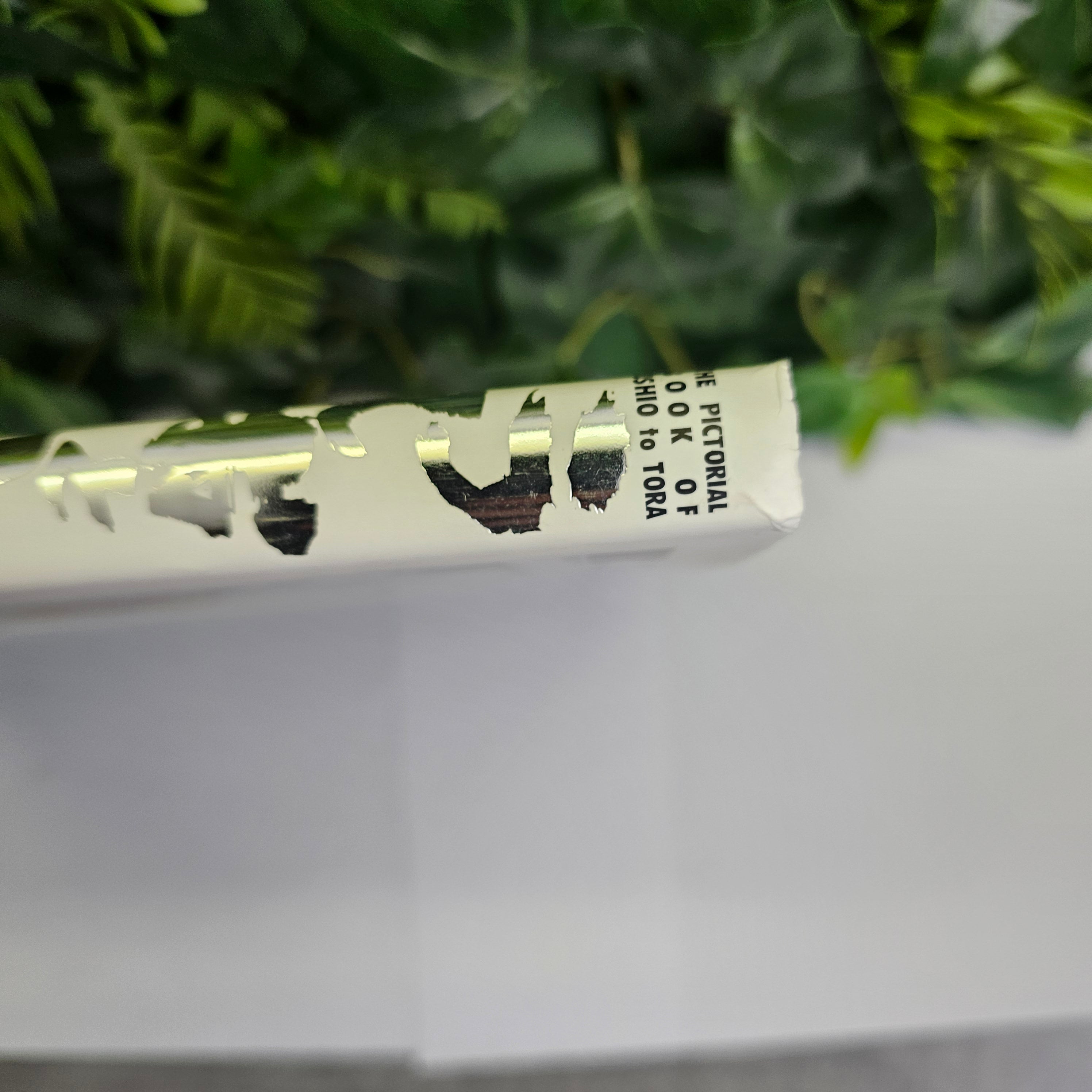 Ushio to Tora - Complete Works part.2