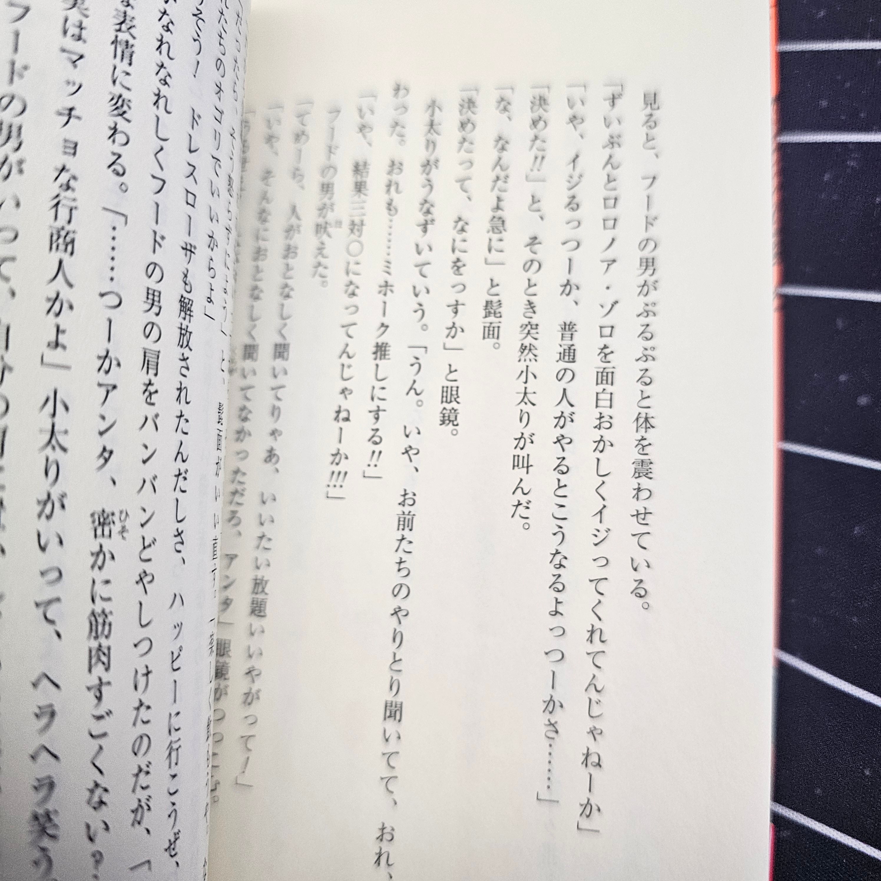 One Piece - Novel Straw Hat Stories