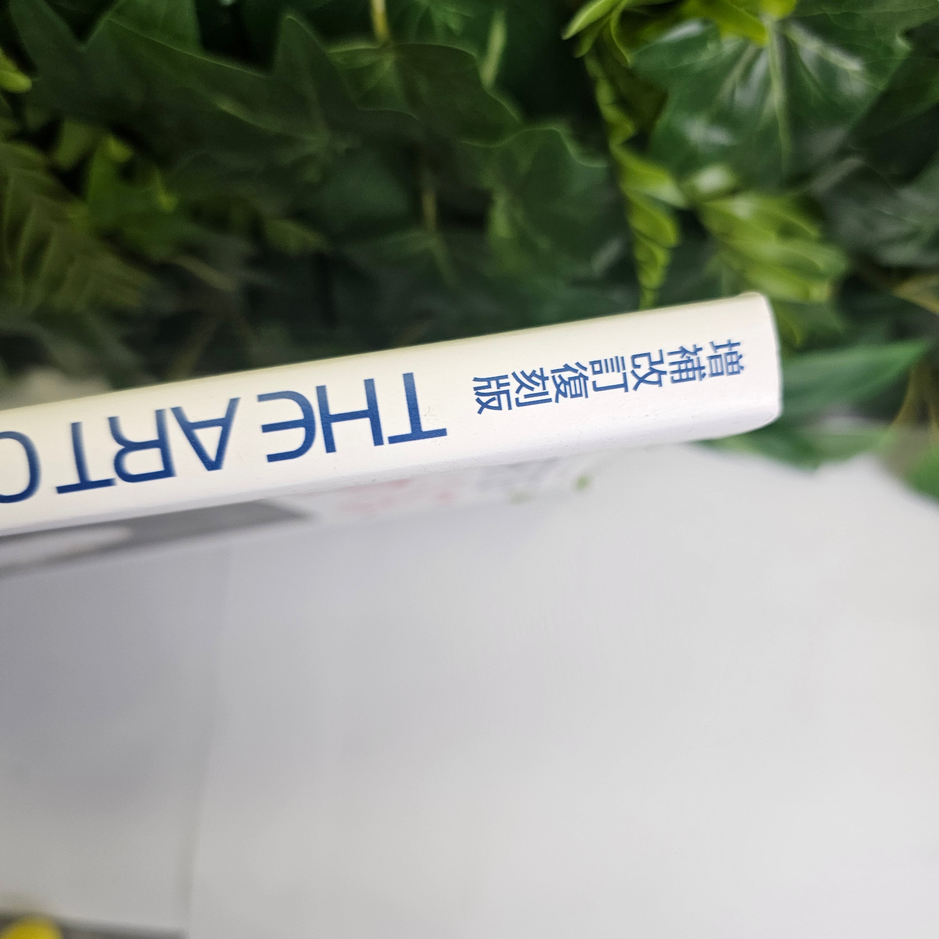 The Art Of Angel's Egg