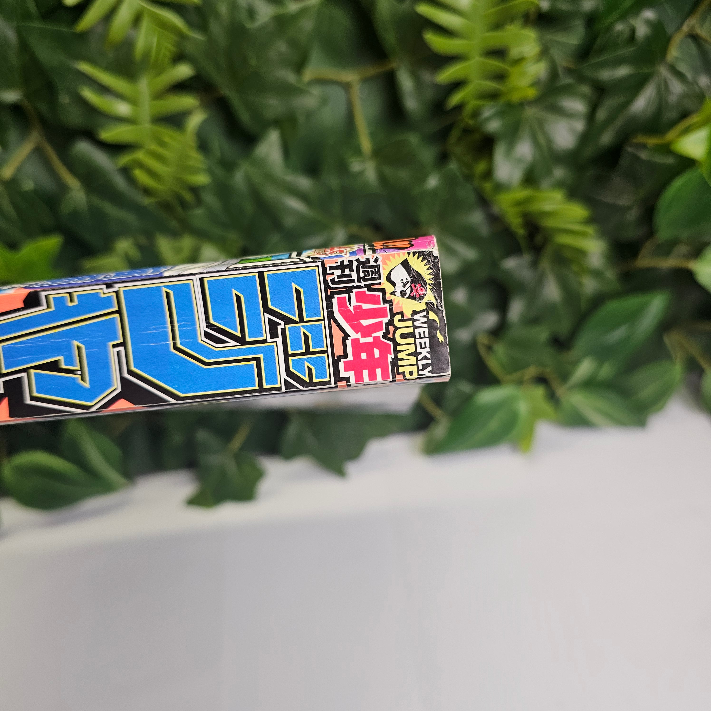 Weekly Shonen Jump n°28 (2013) (One Piece)