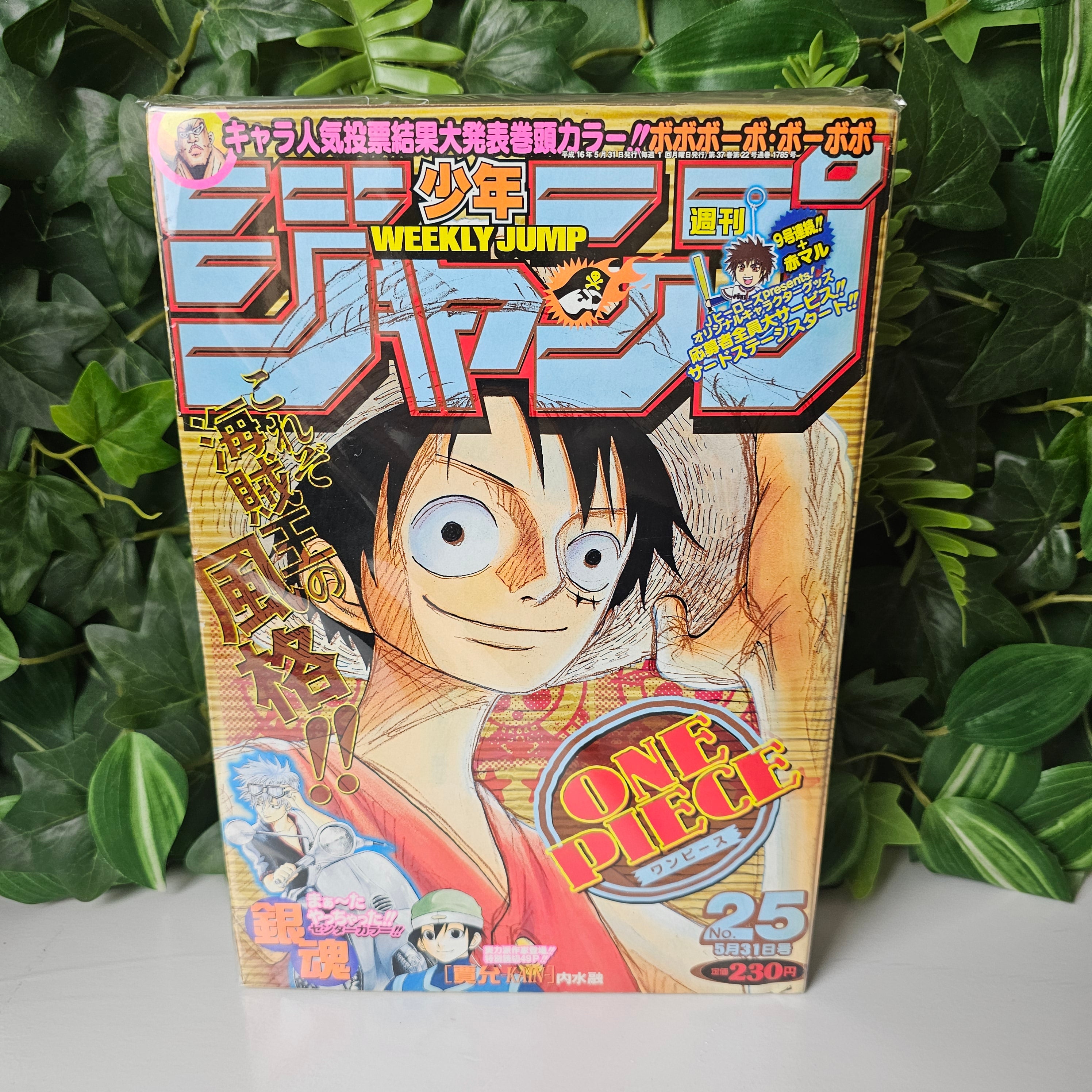 Weekly Shonen Jump n°25 (2004) (One Piece)