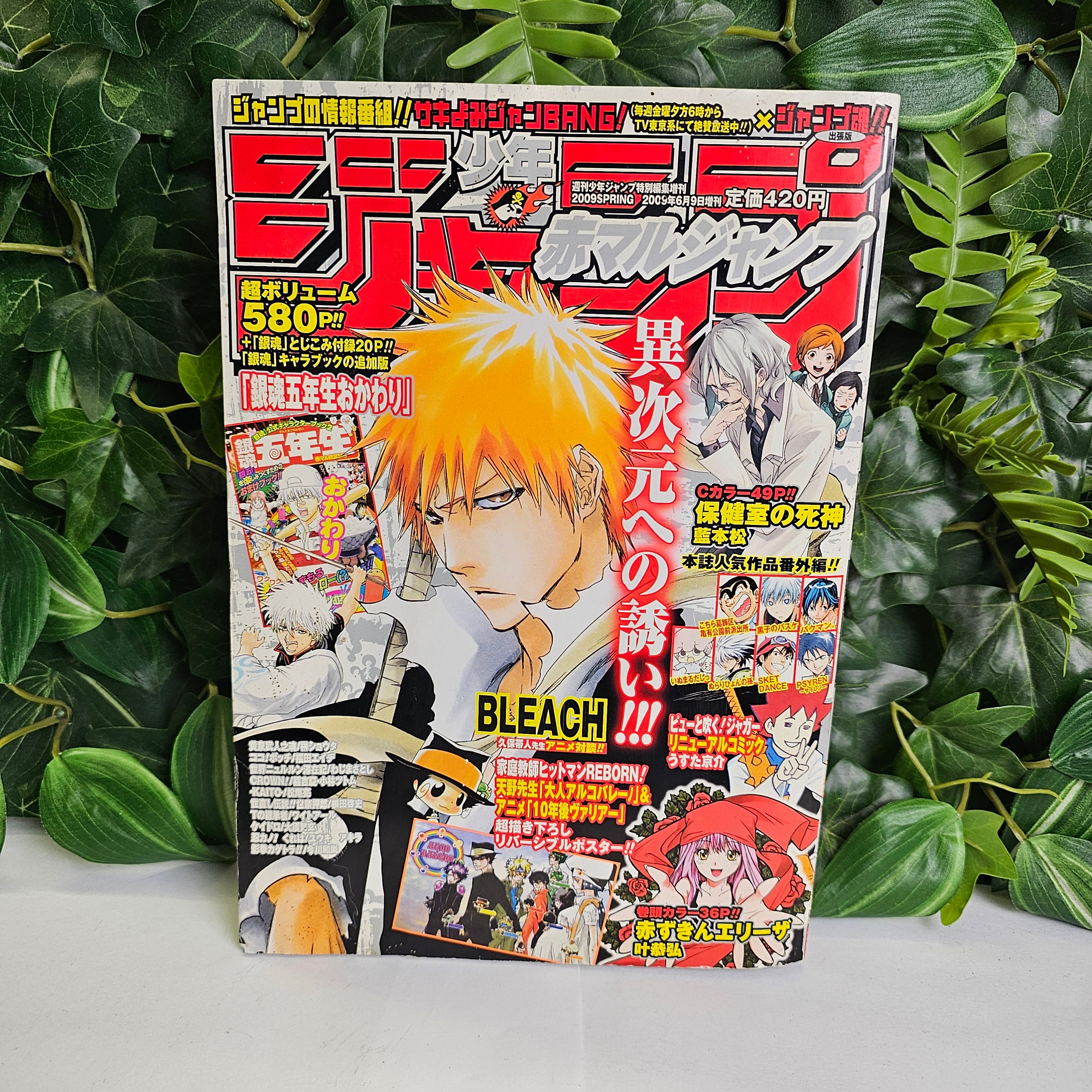 Akamaru Jump Spring (2009)
