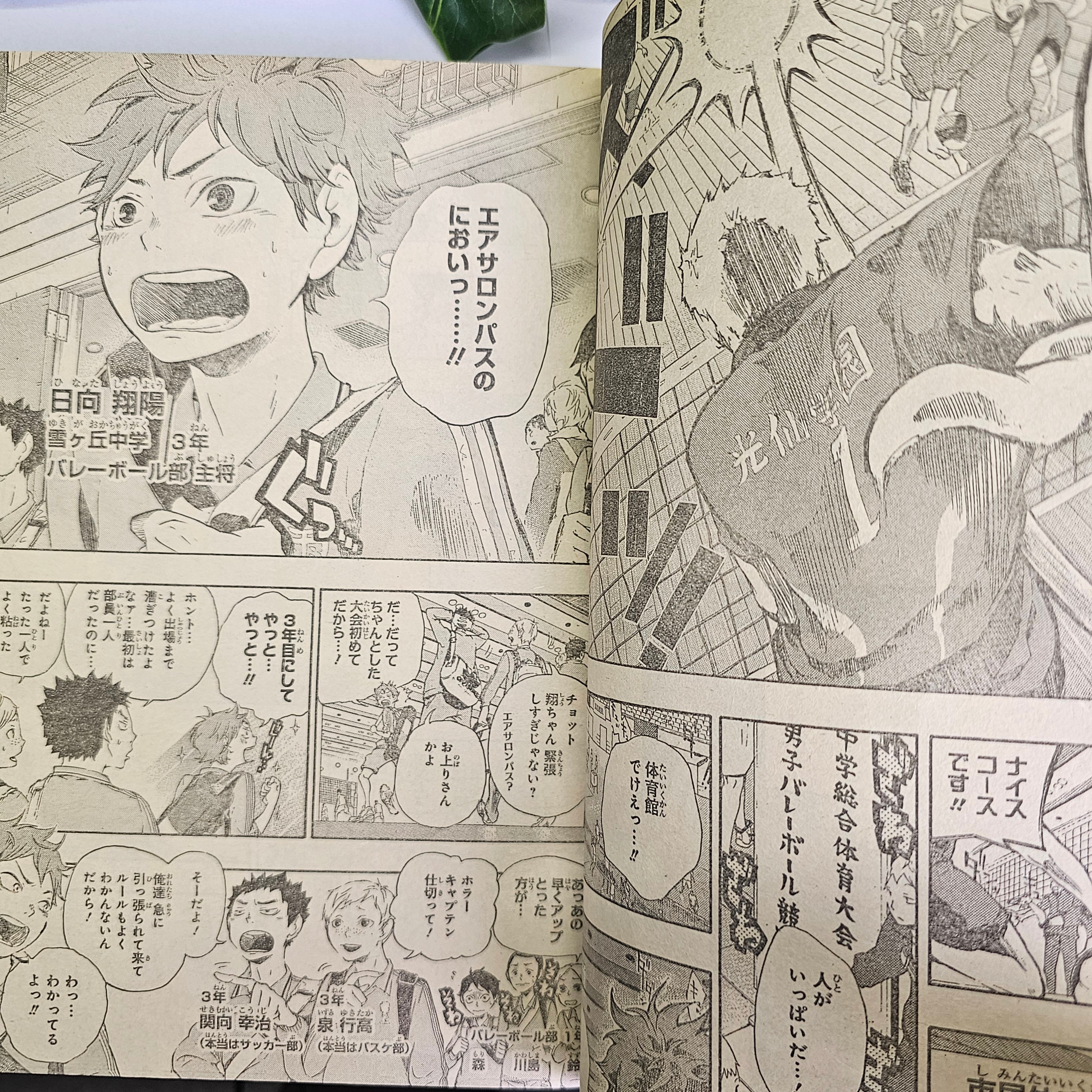 Weekly Shonen Jump n°12 (2012) Premier Chapitre ! (Haikyu!!)