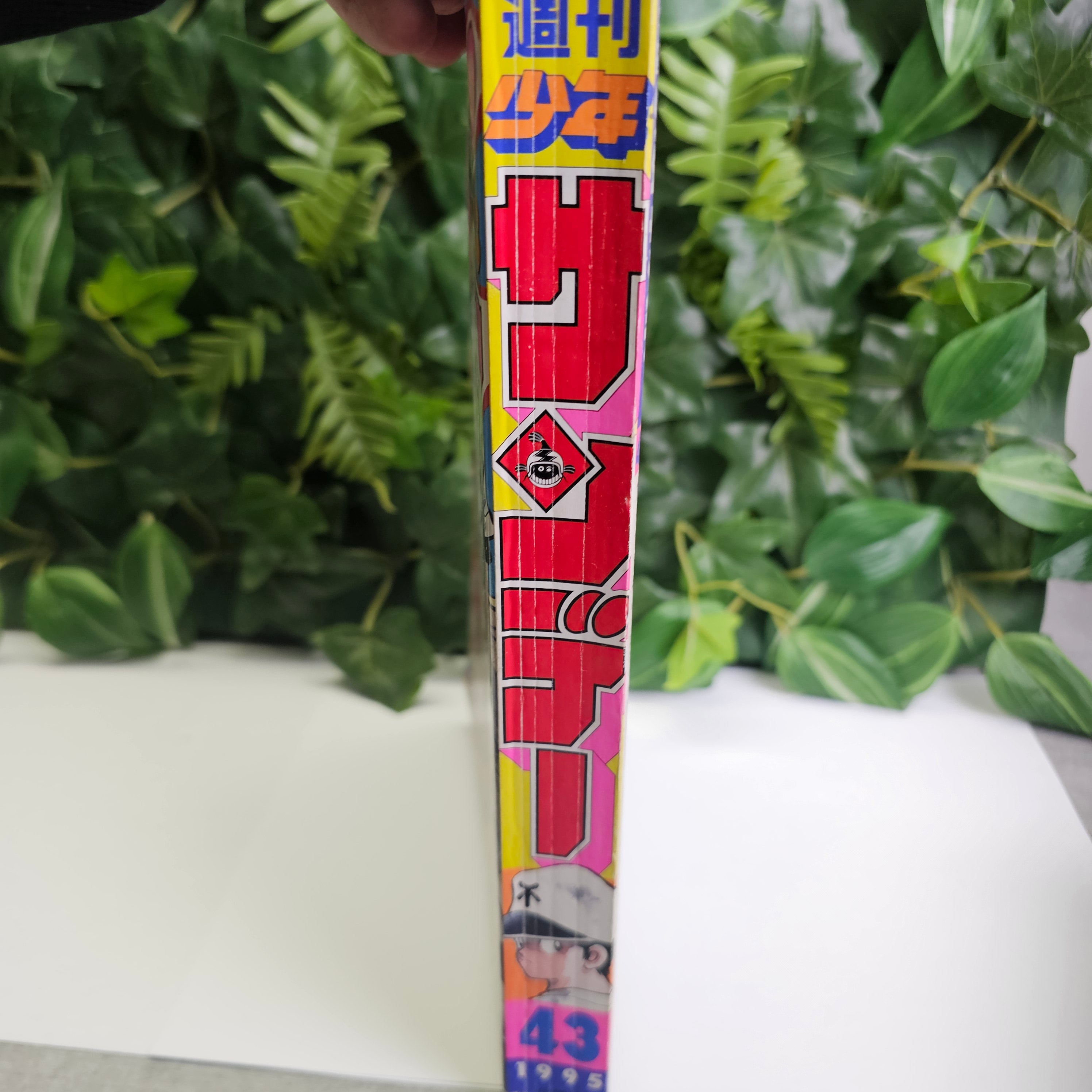 Weekly Shonen Sunday n°43 (1995)