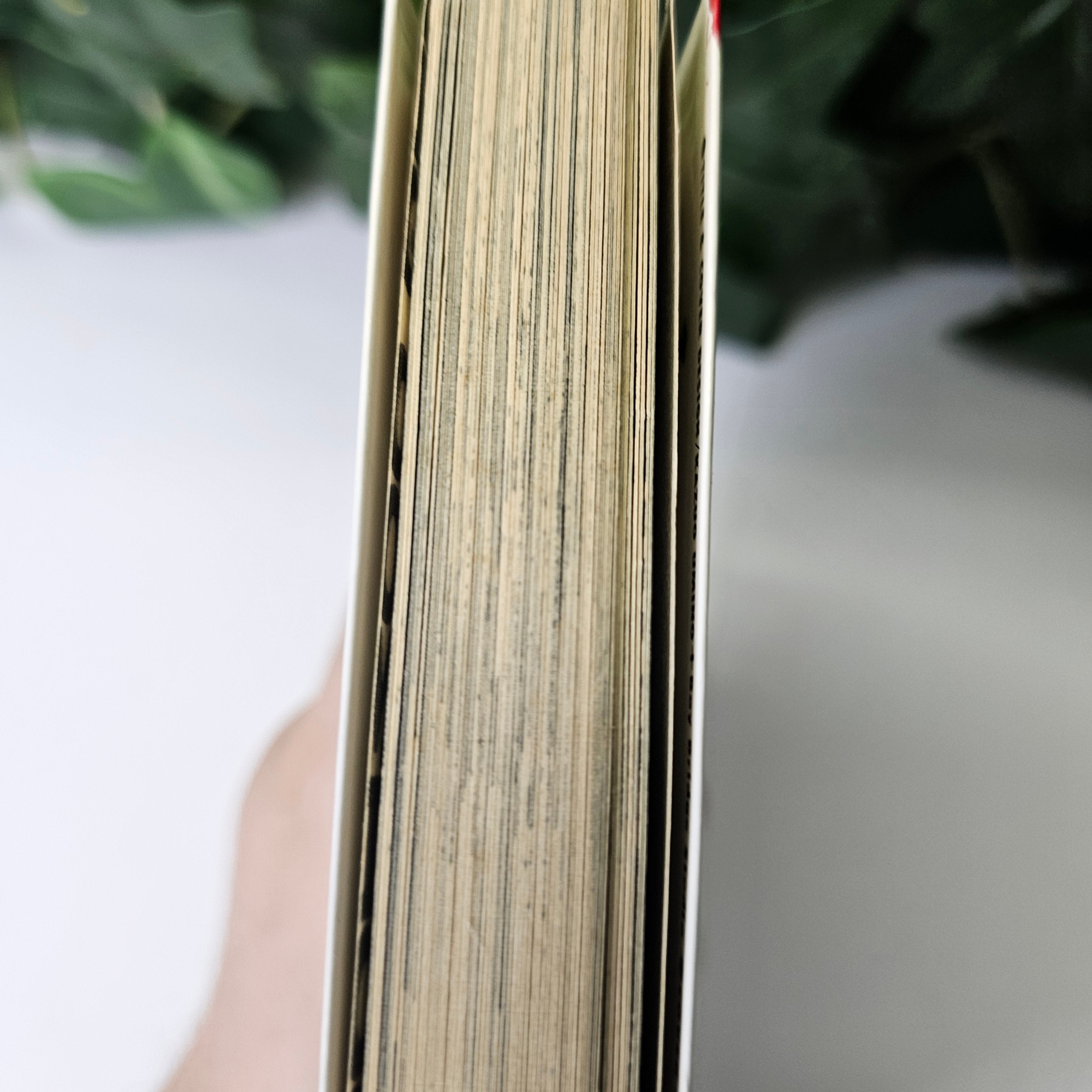 Monster - Tome 1 (VO)