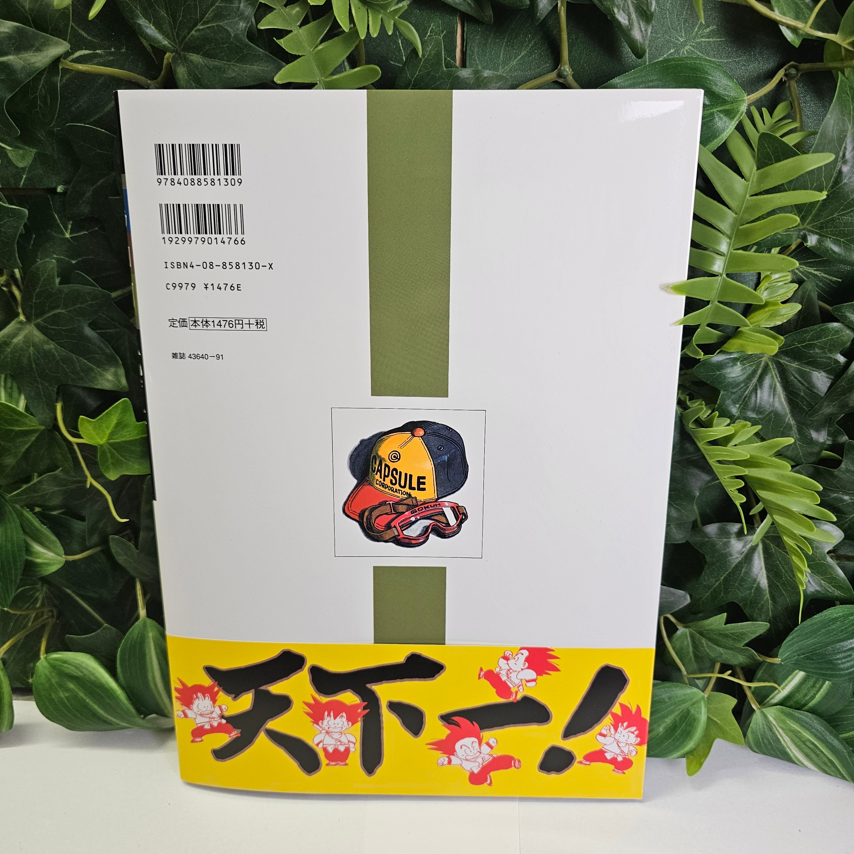 Dragon Ball artbook - Akira Toriyama - The World – vue 15
