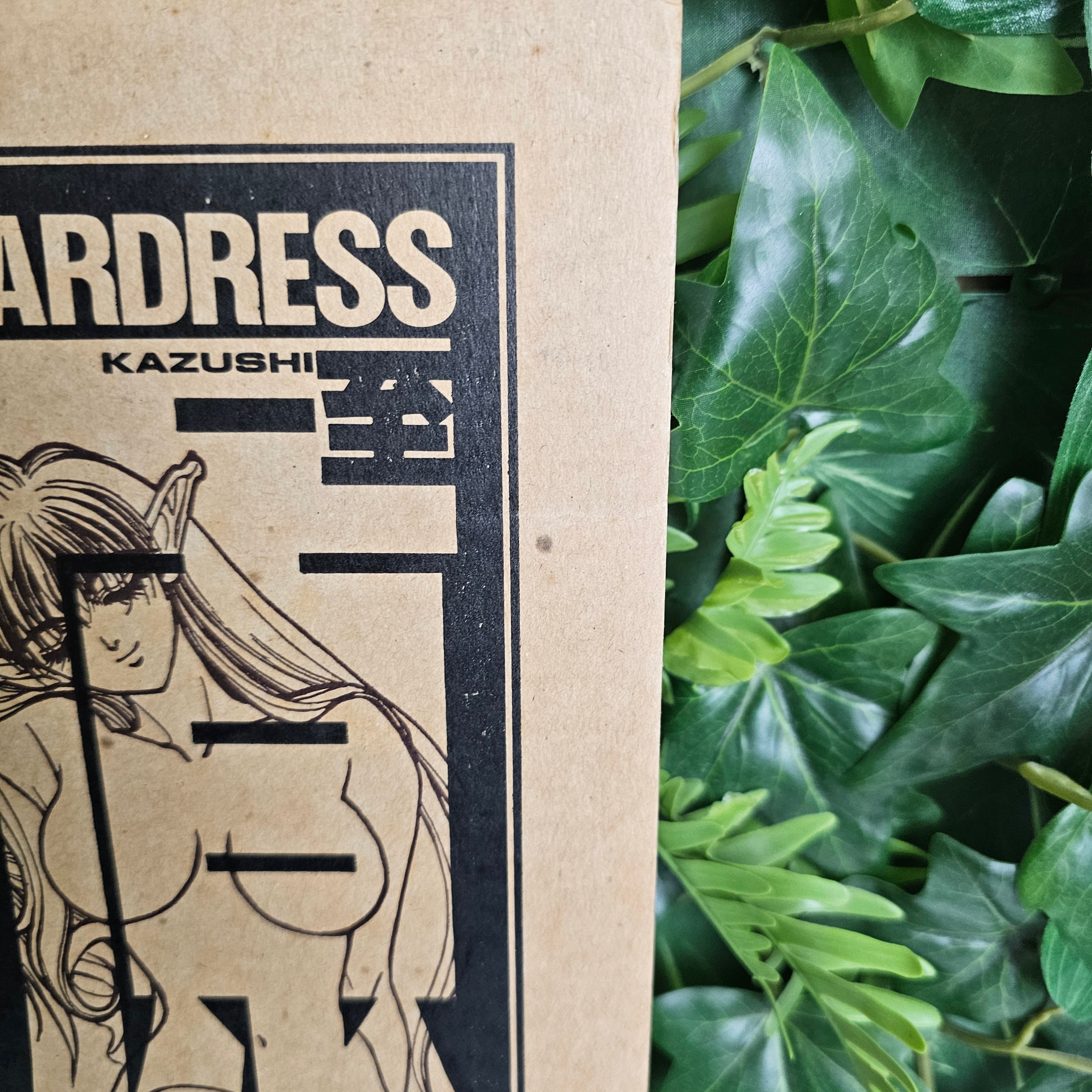 BASTARD!! - Guardess illustrations
