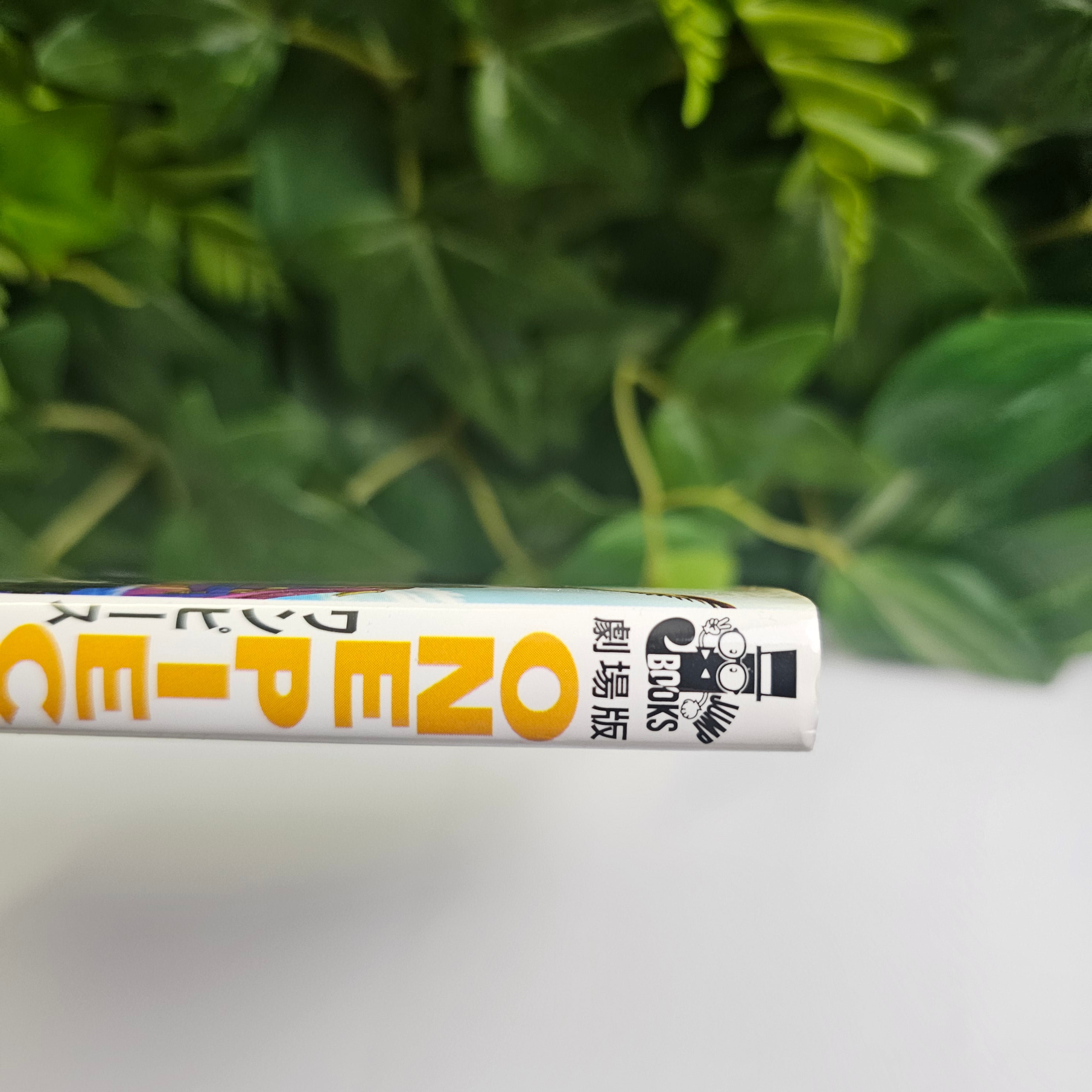 One Piece - Novel MUGIWARA CHASE