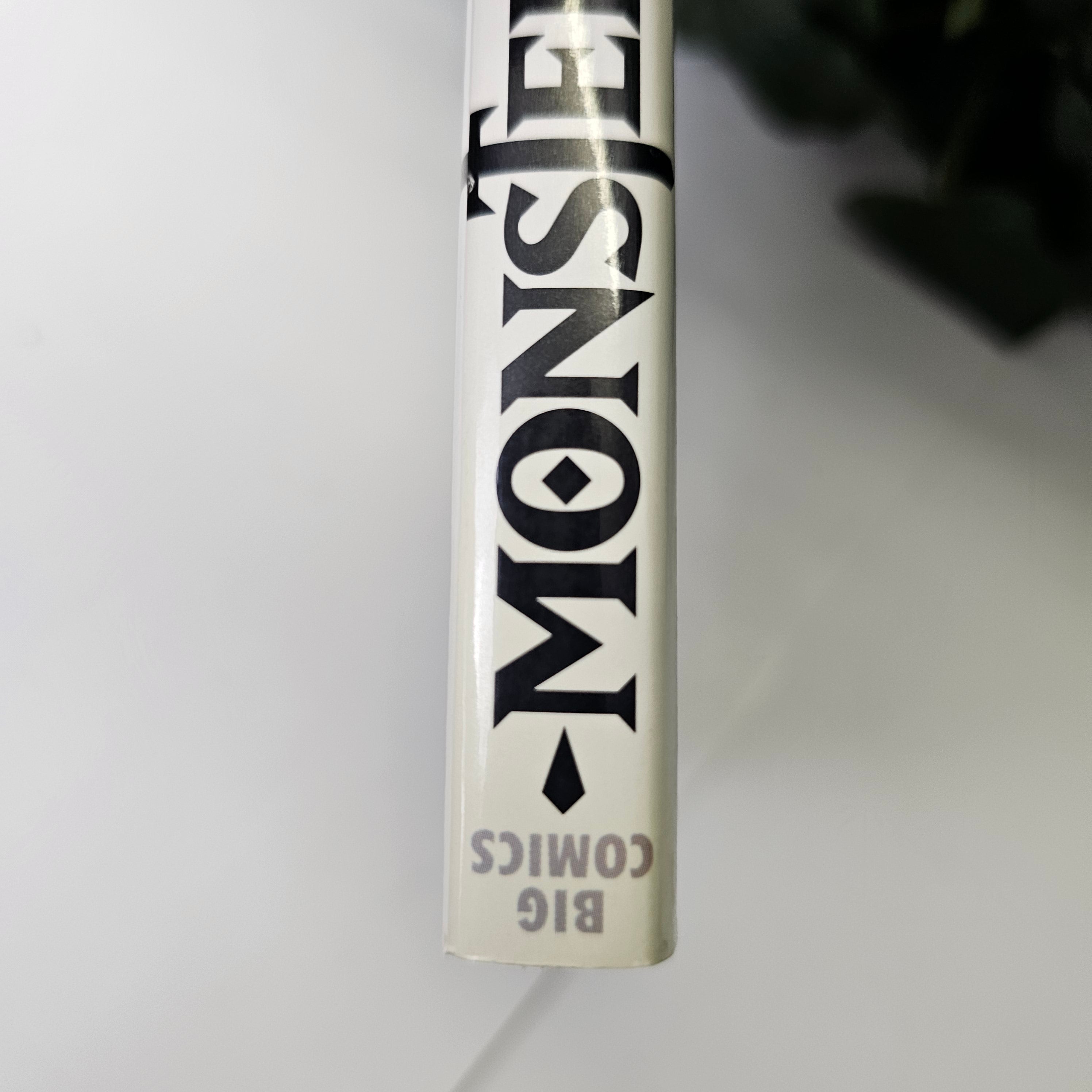 Monster - Tome 1 (VO)