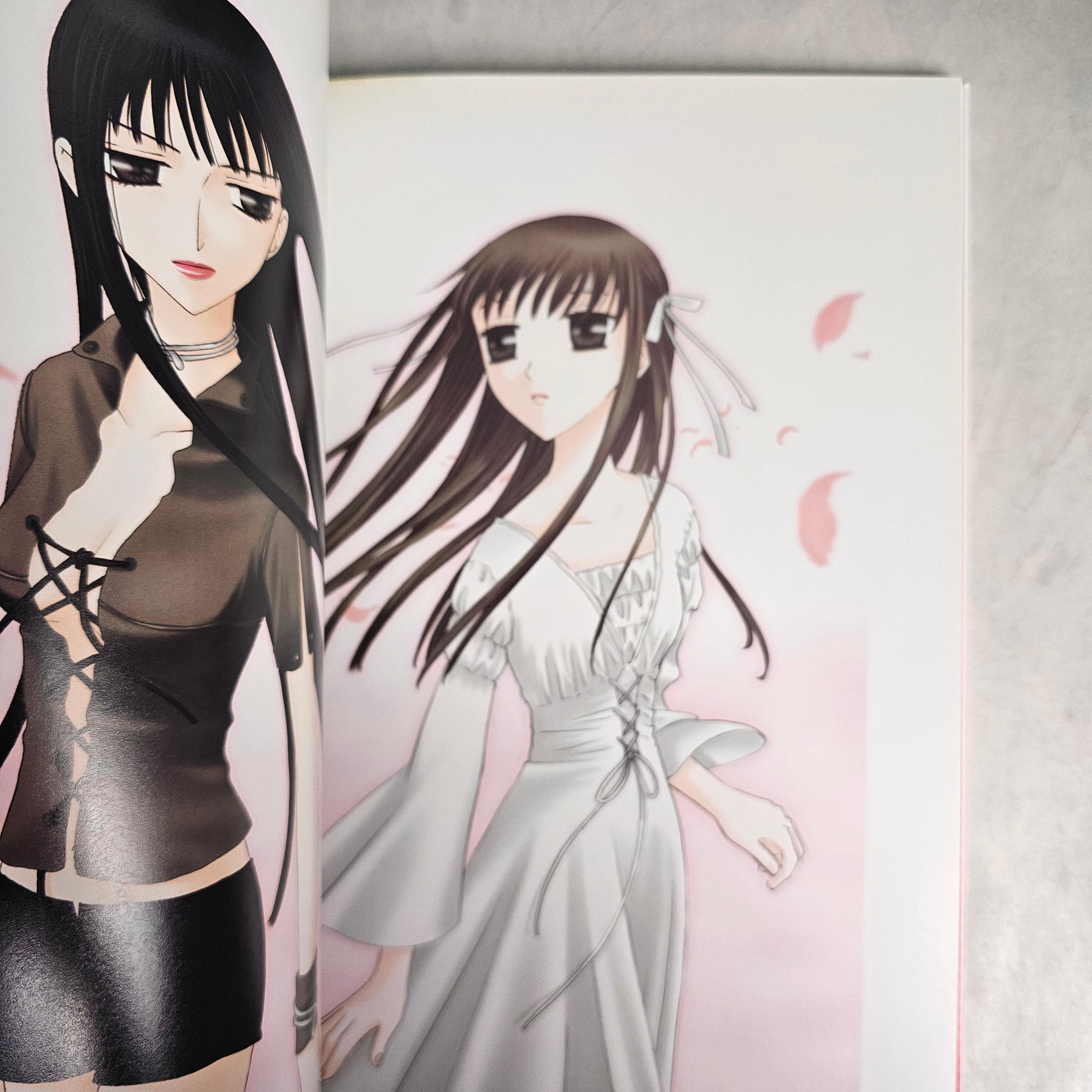 Artbook - Fruit Basket