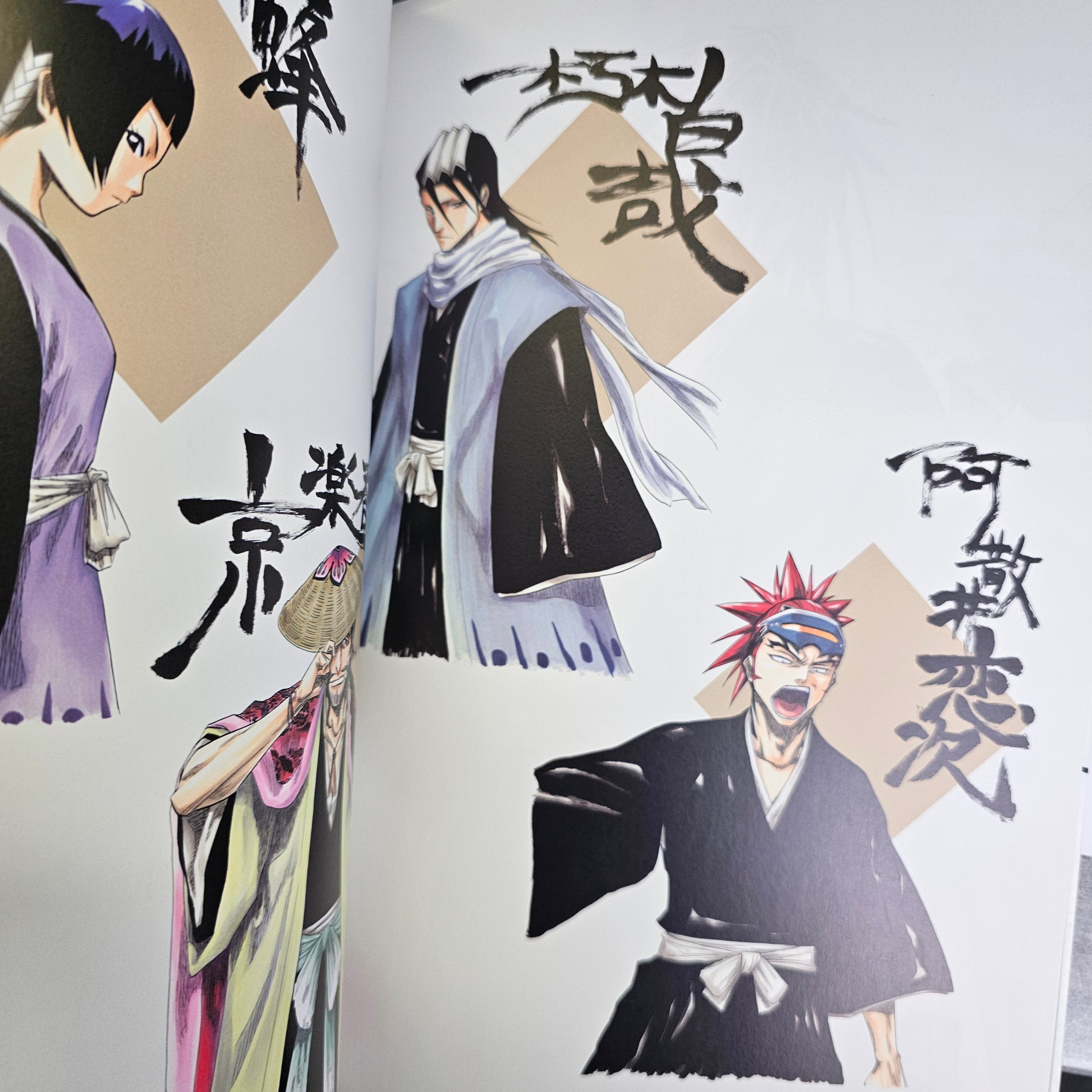 All Colour but the Black: The Art of Bleach