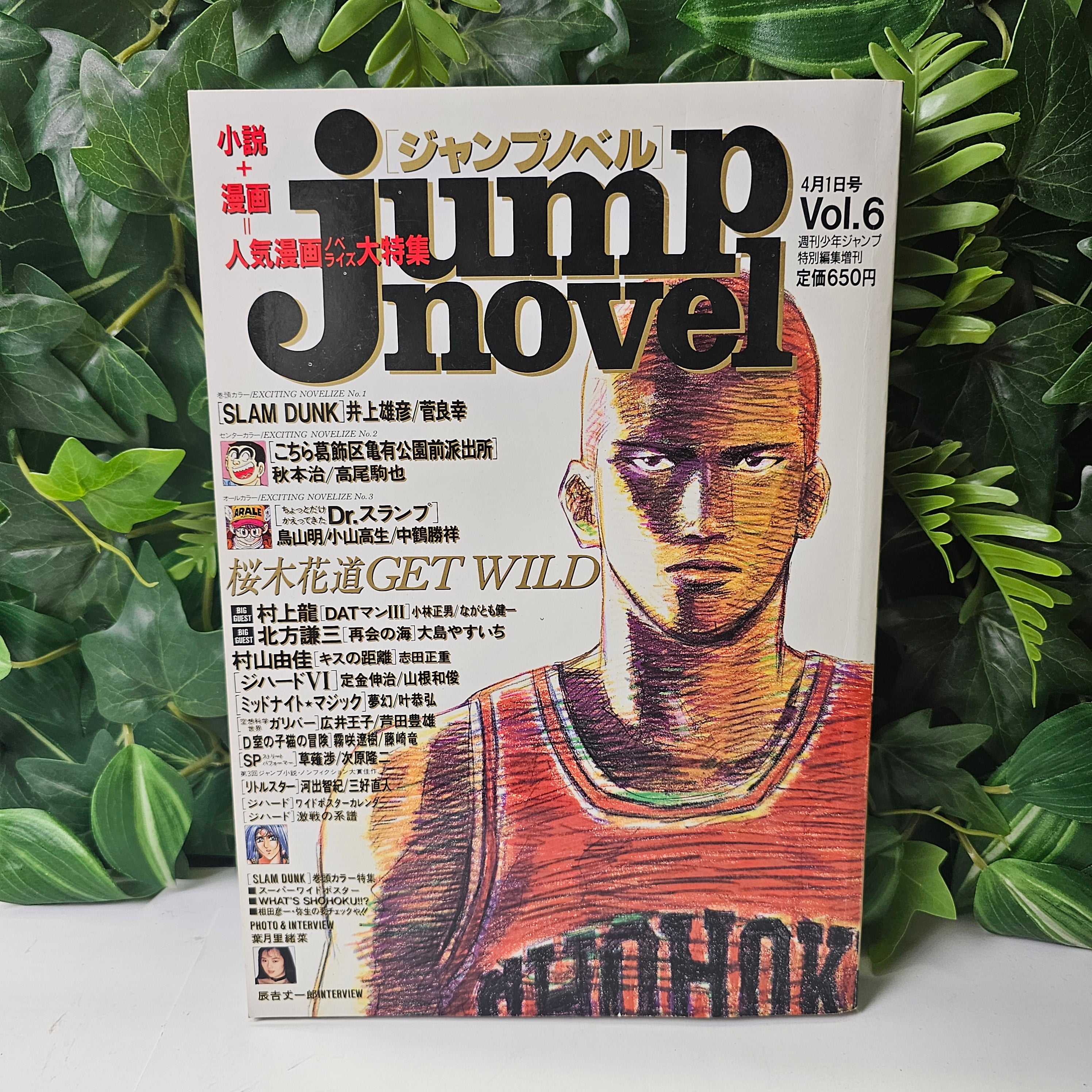 Jump Novel n°6 (1996) Slam Dunk