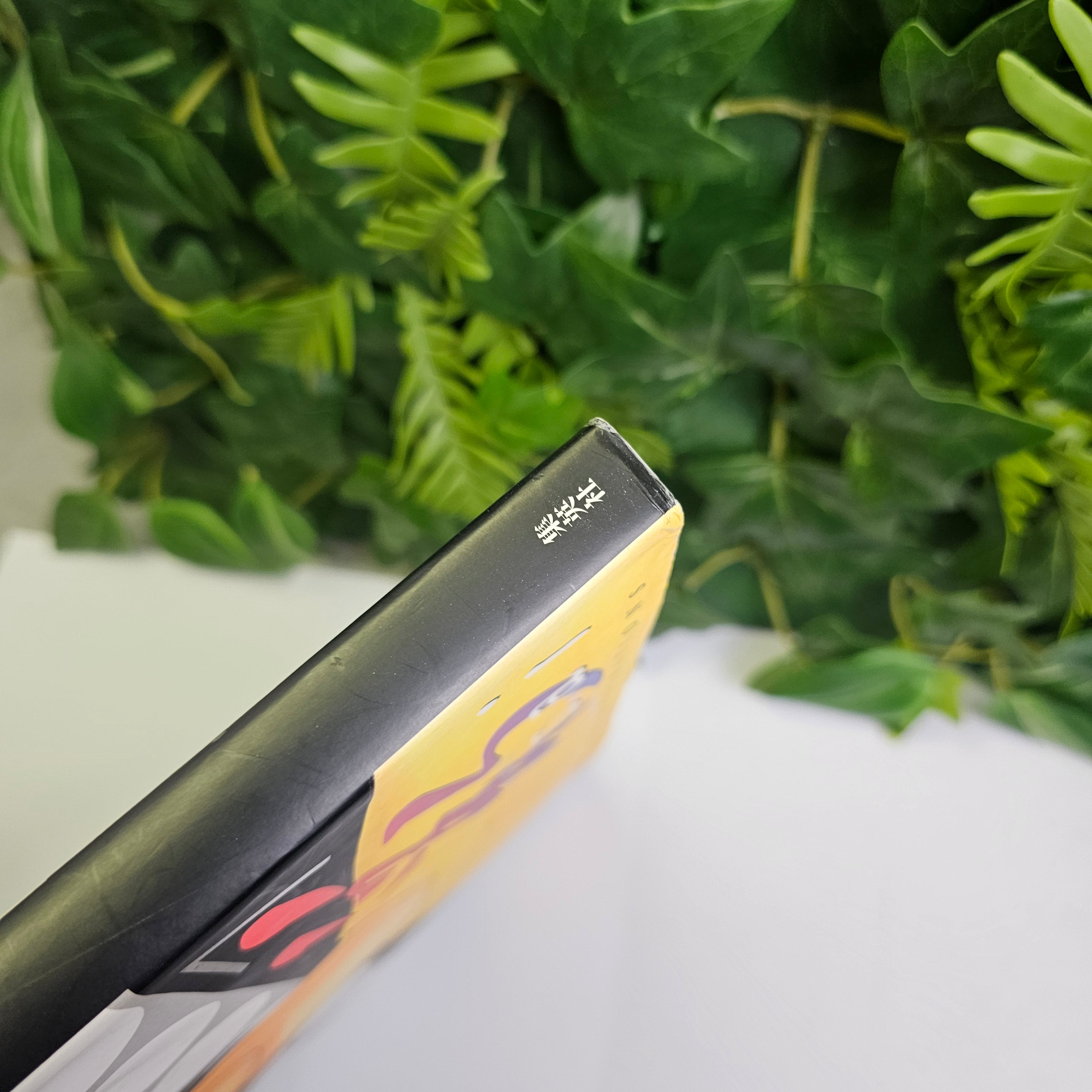 Hikaru no Go - Artbook (grand format)