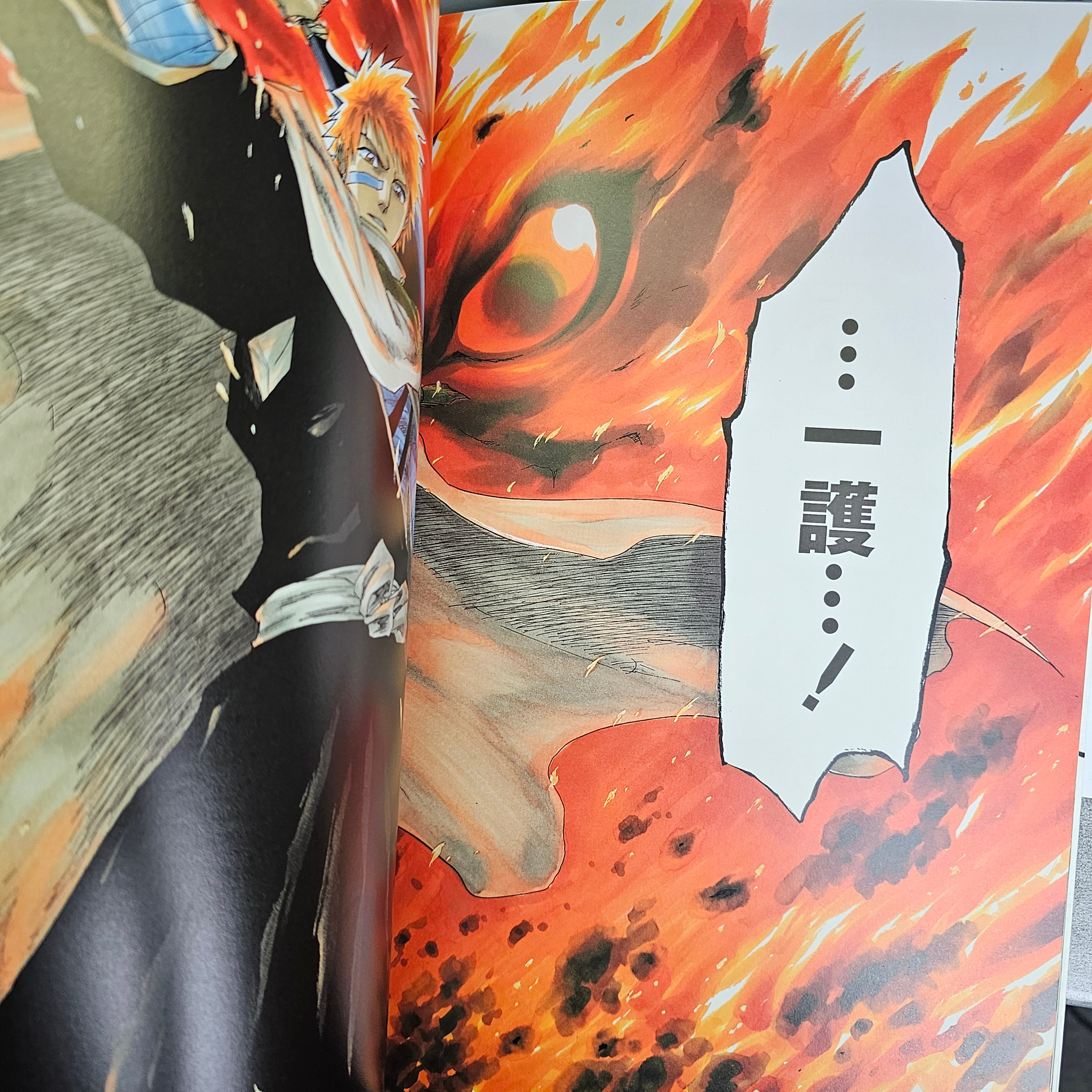 All Colour but the Black: The Art of Bleach