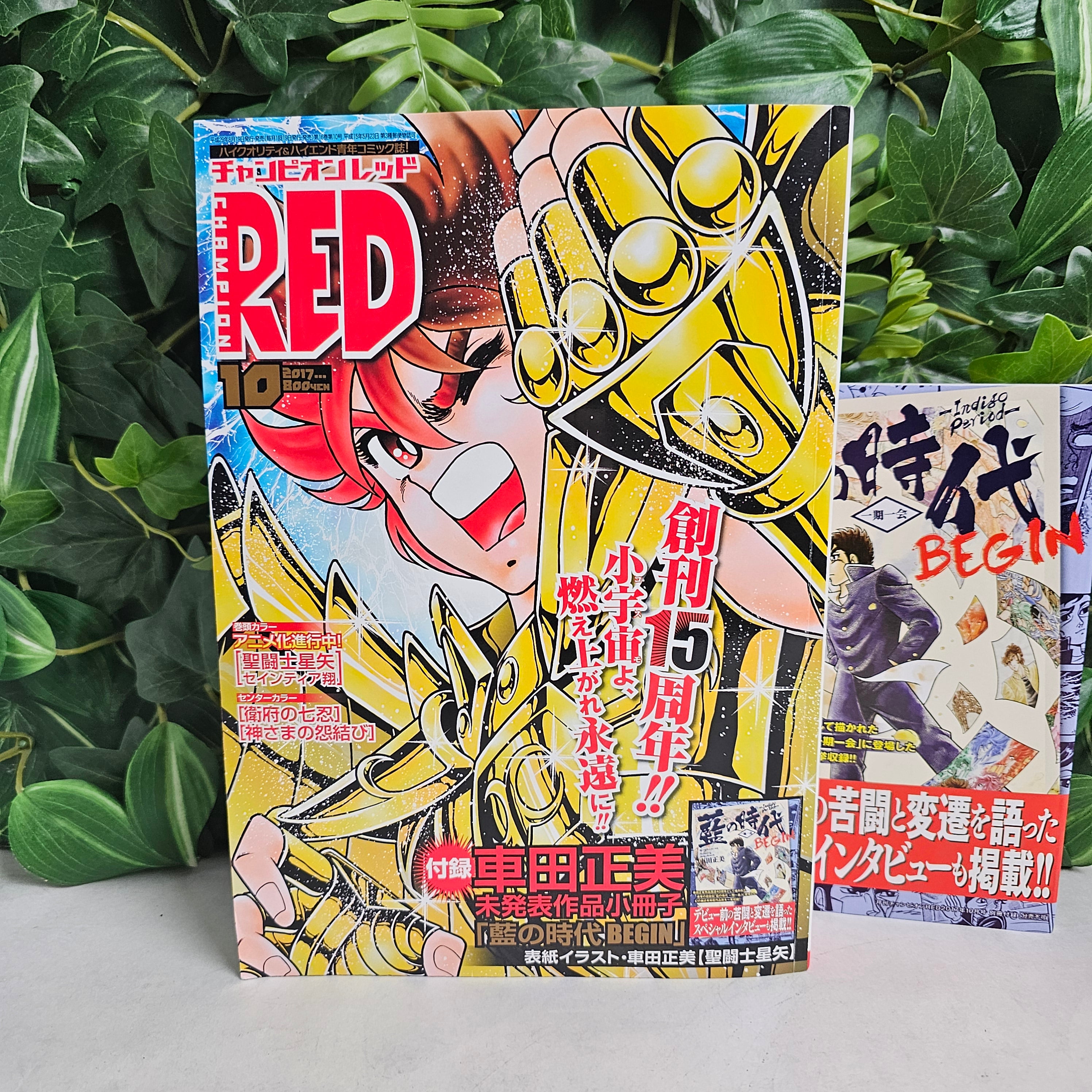 Champion Red n°10 (2017)