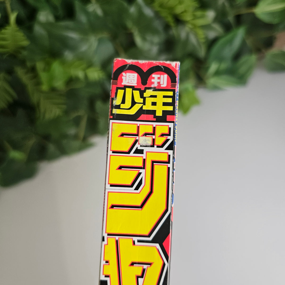 Weekly Shonen Jump n°25 (2011) (One Piece)