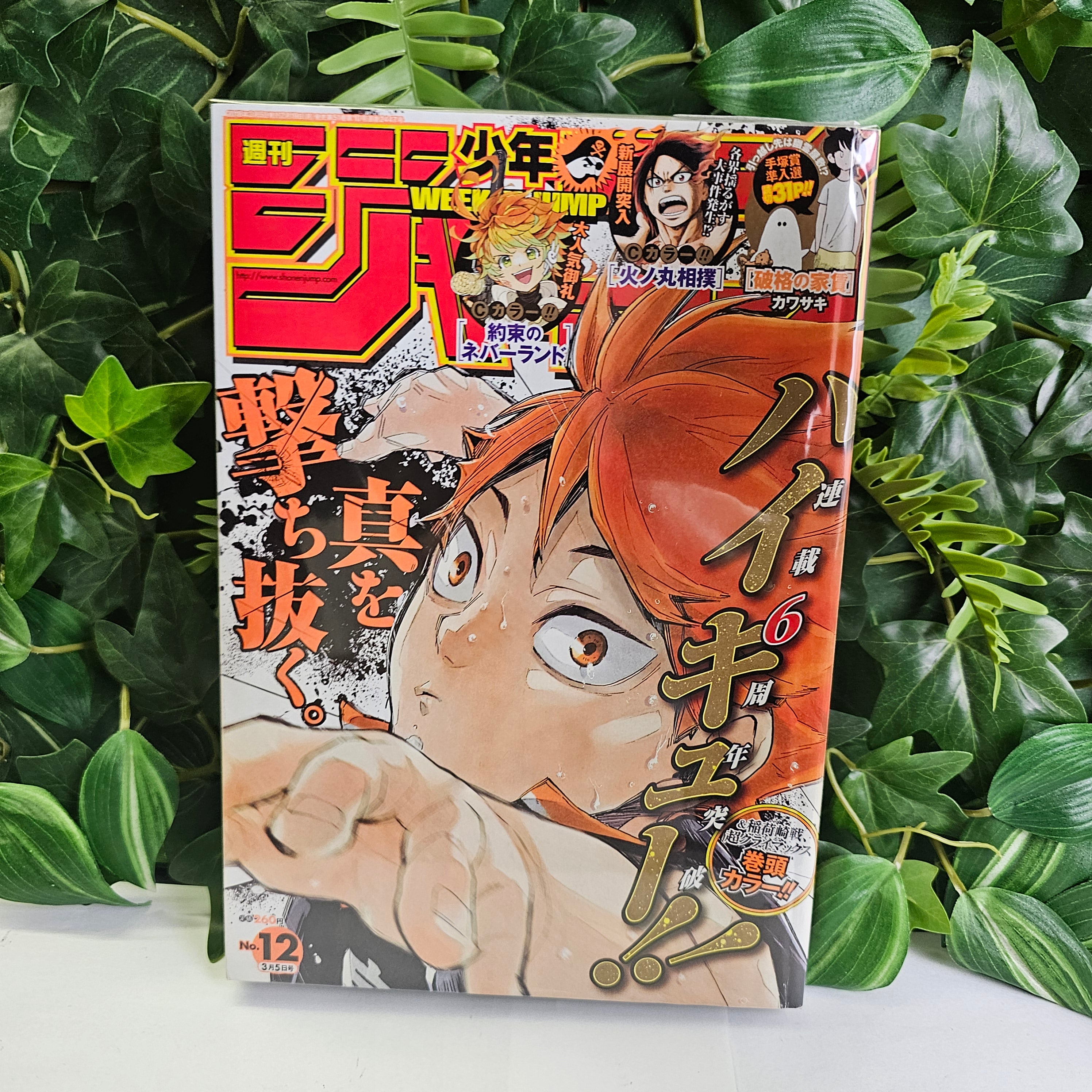 Weekly Shonen Jump n°12 (2018) (Haikyu!!)