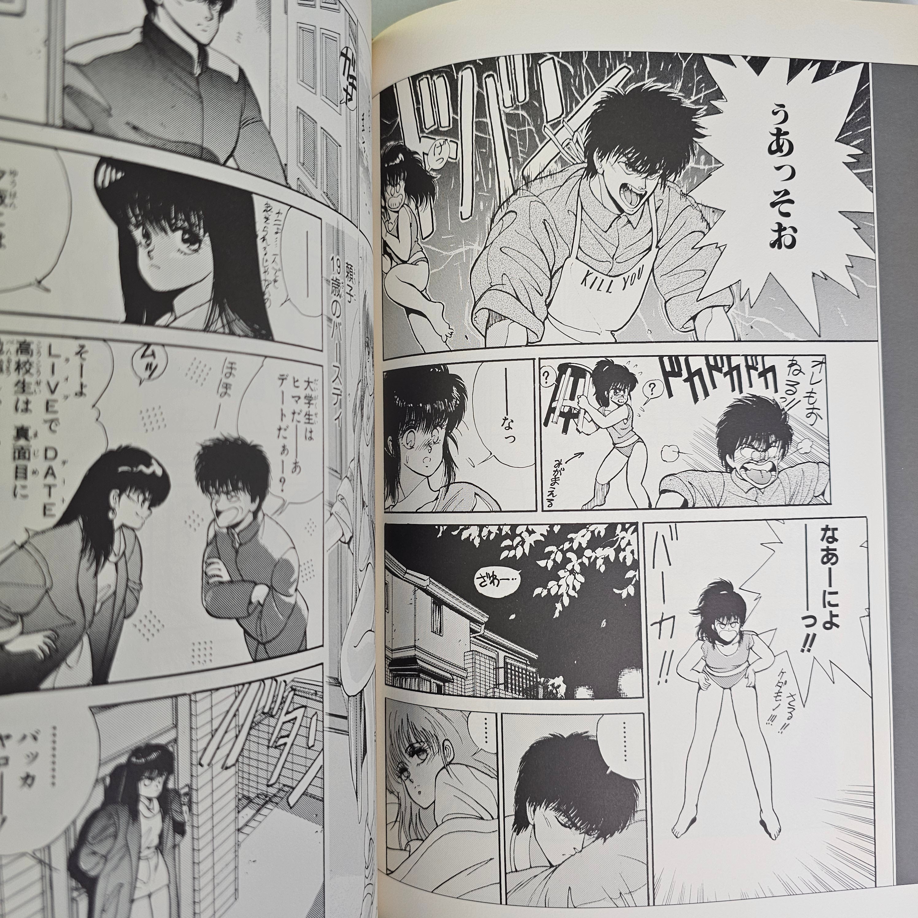 BASTARD!! - Guardess illustrations