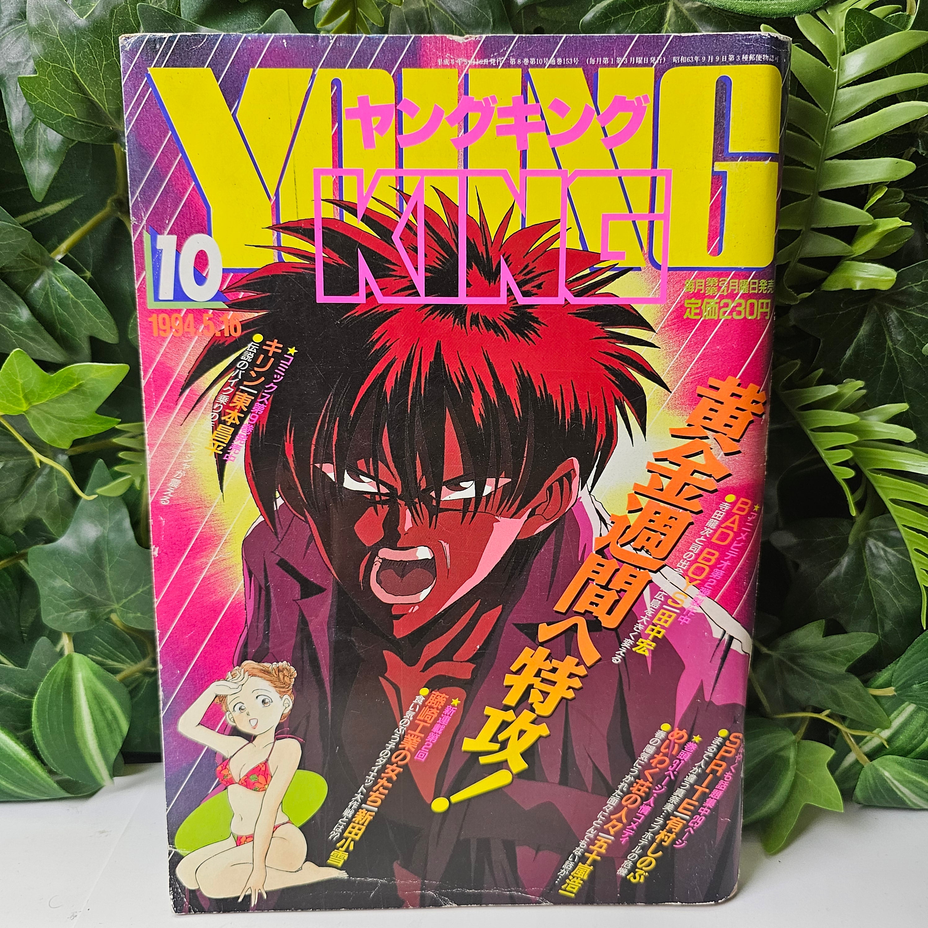 Young King n°10 (1994)