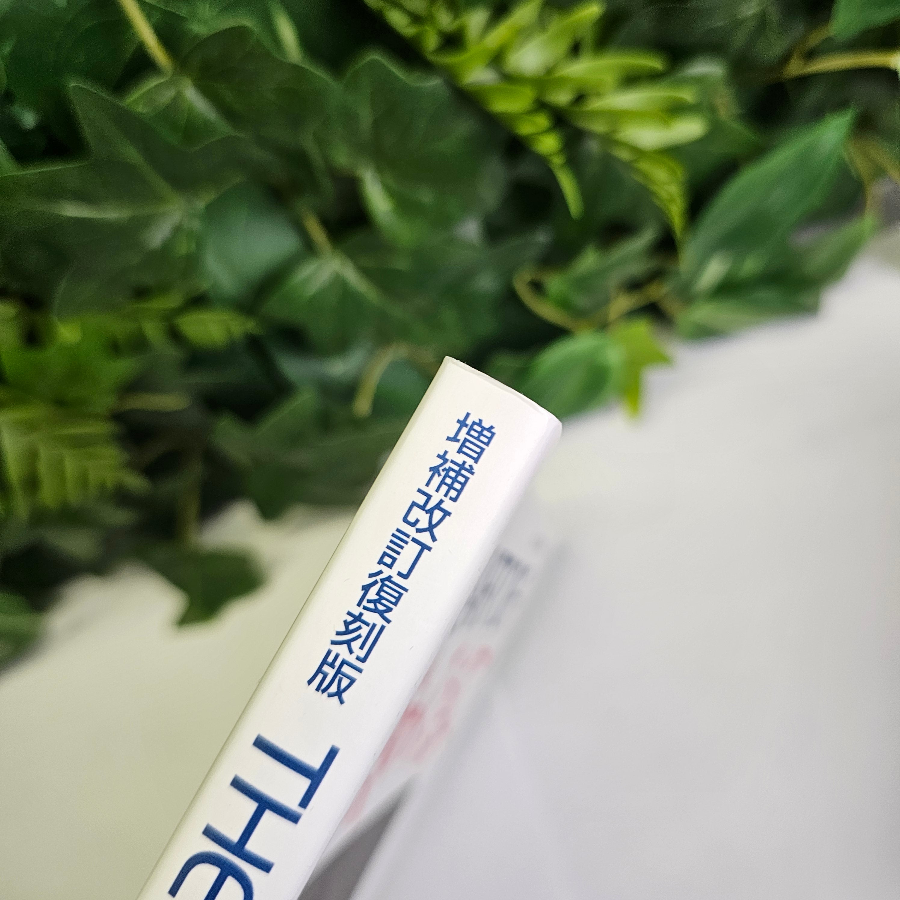 The Art Of Angel's Egg