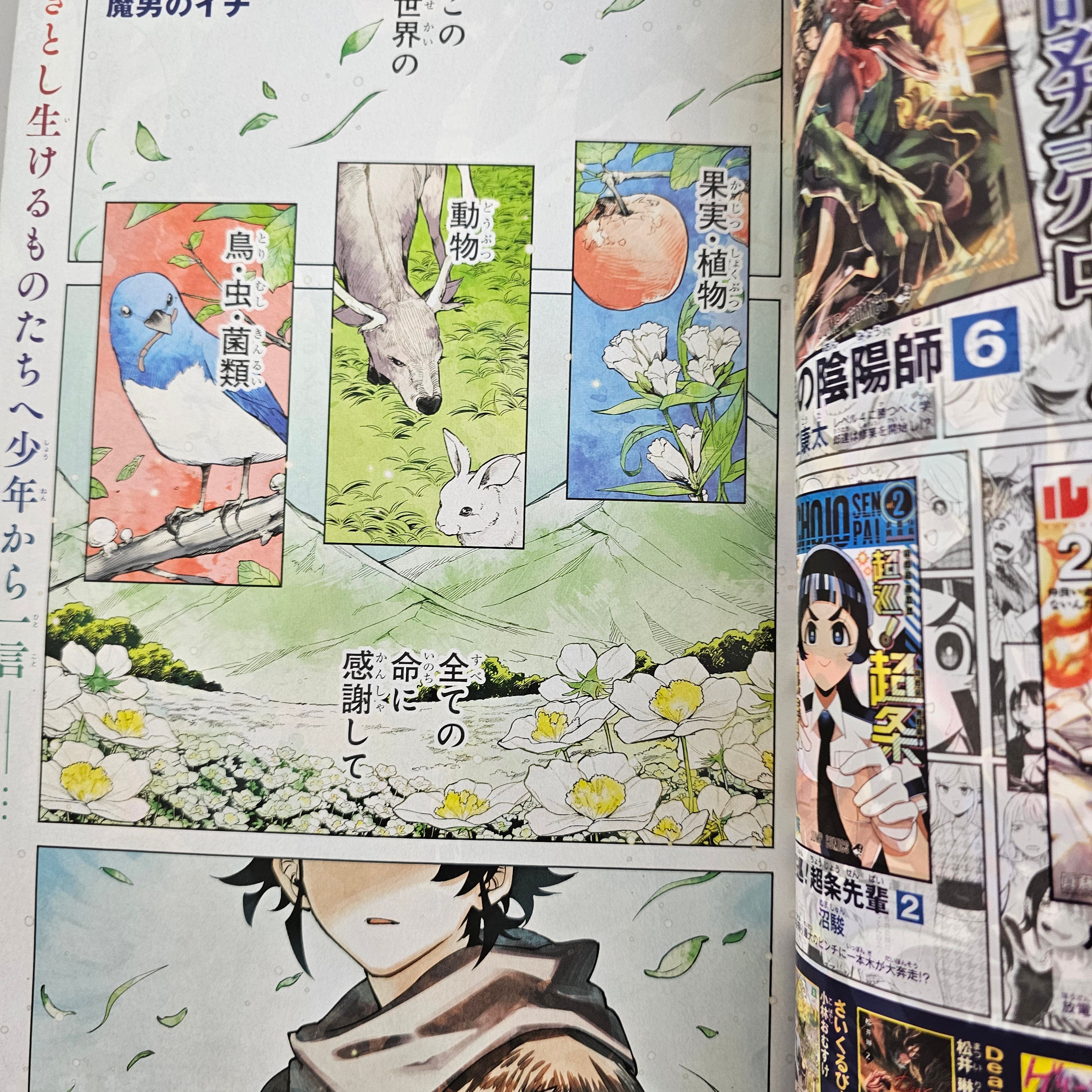 Weekly Shonen Jump n°41 (2024) (premier chapitre Ichi the Witch)