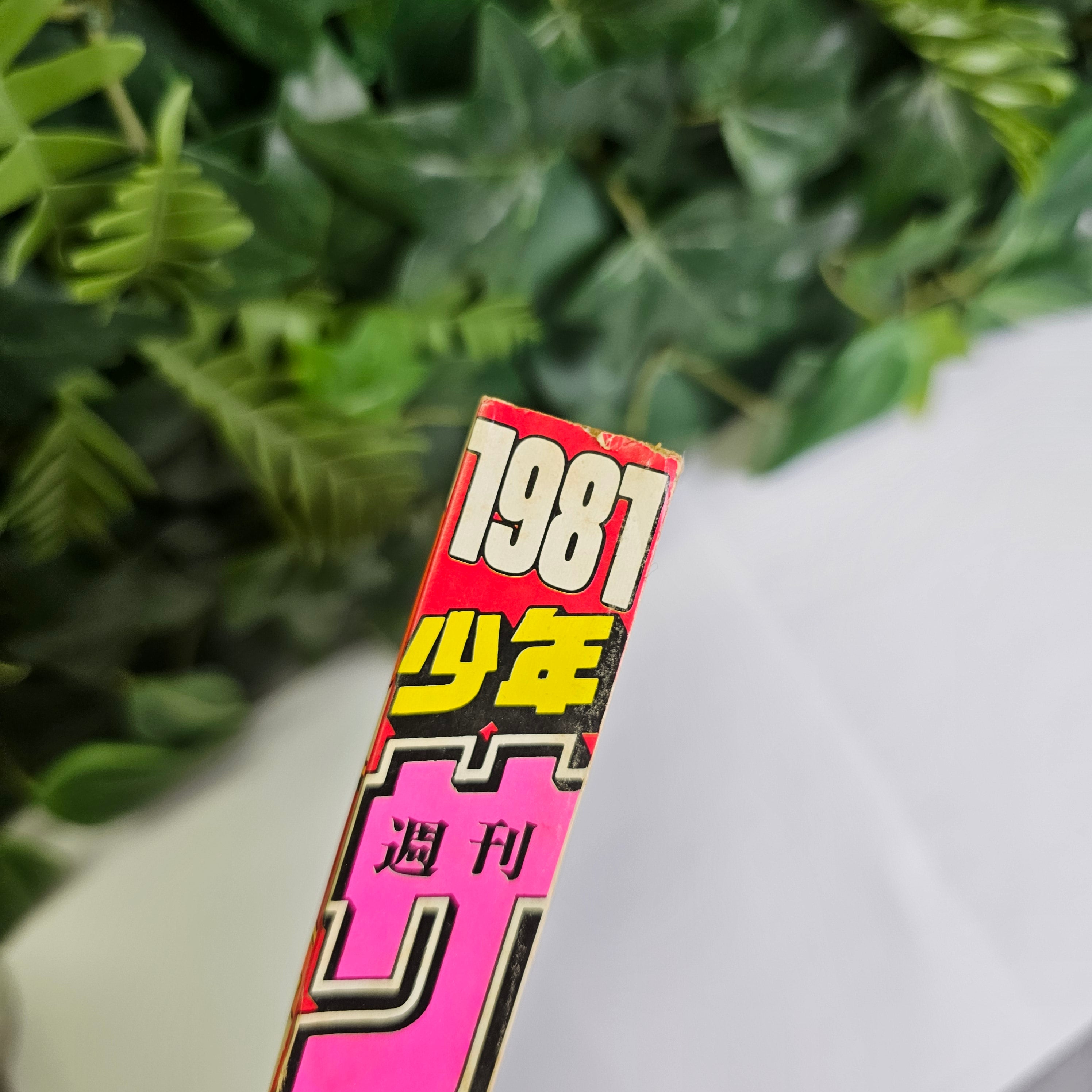 Weekly Shonen Sunday n°46 (1981) (Touch)