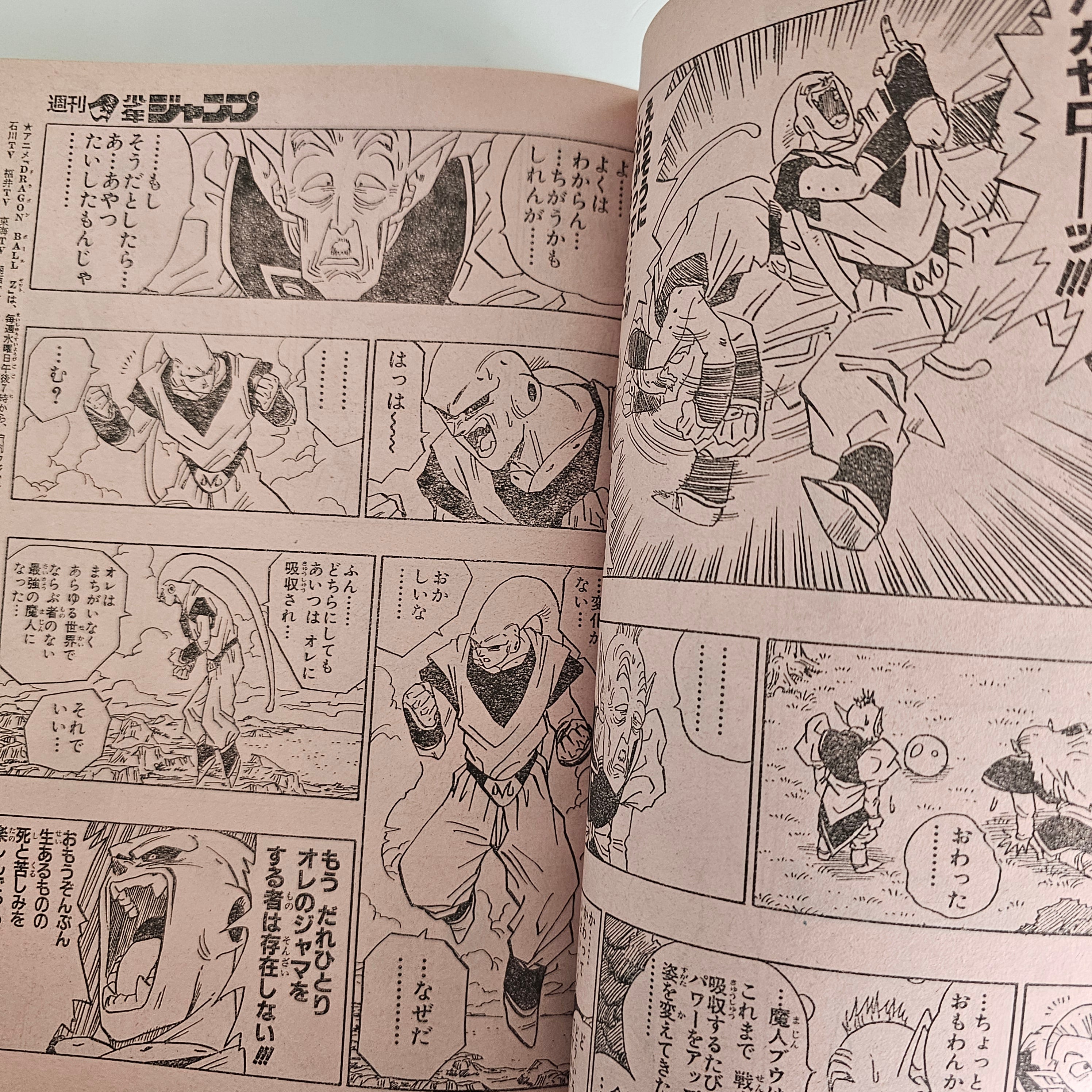 Weekly Shonen Jump n°11 (1995) (Dragon Ball chapitre 506)