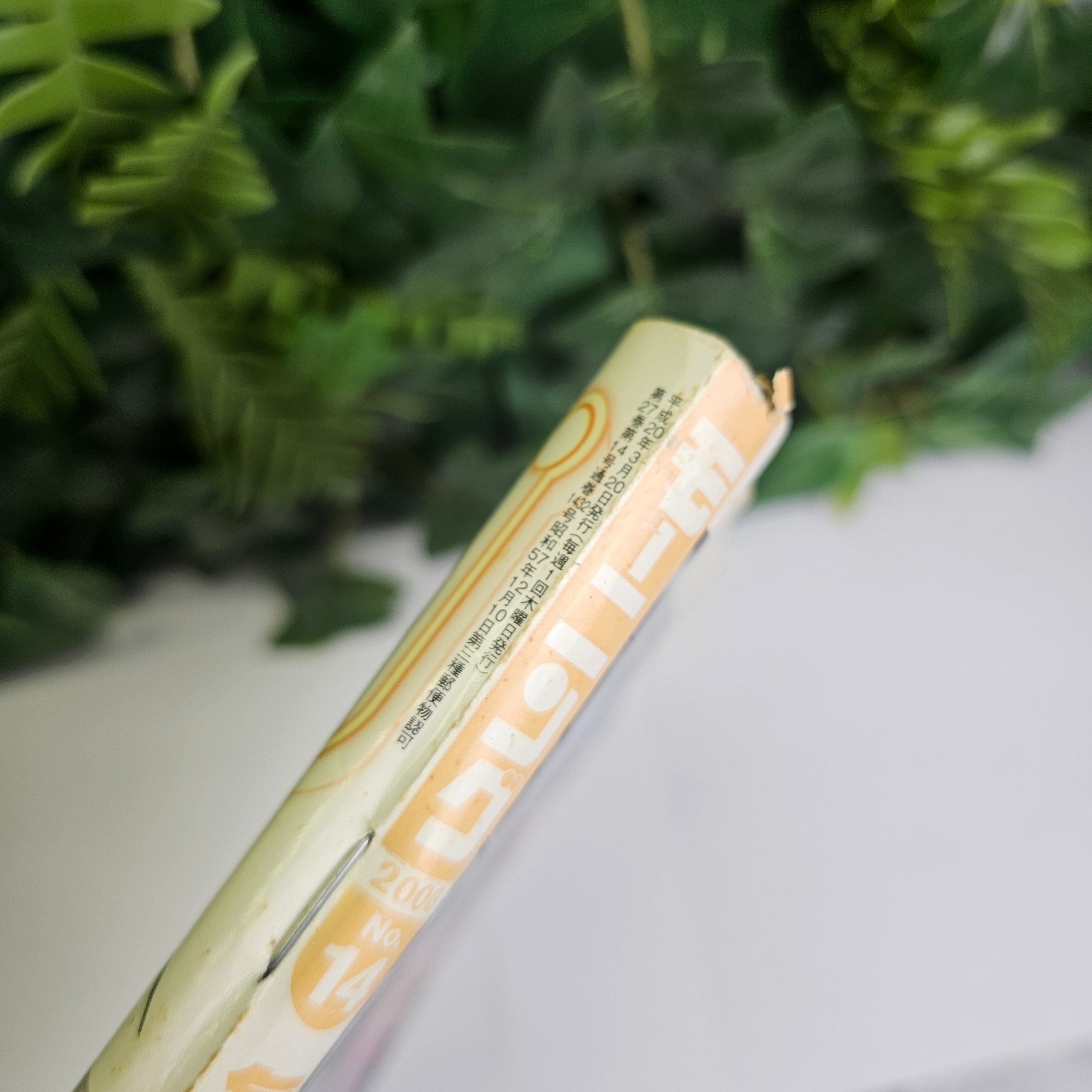 Weekly Morning Magazine n°14 (2008) (Vagabond)