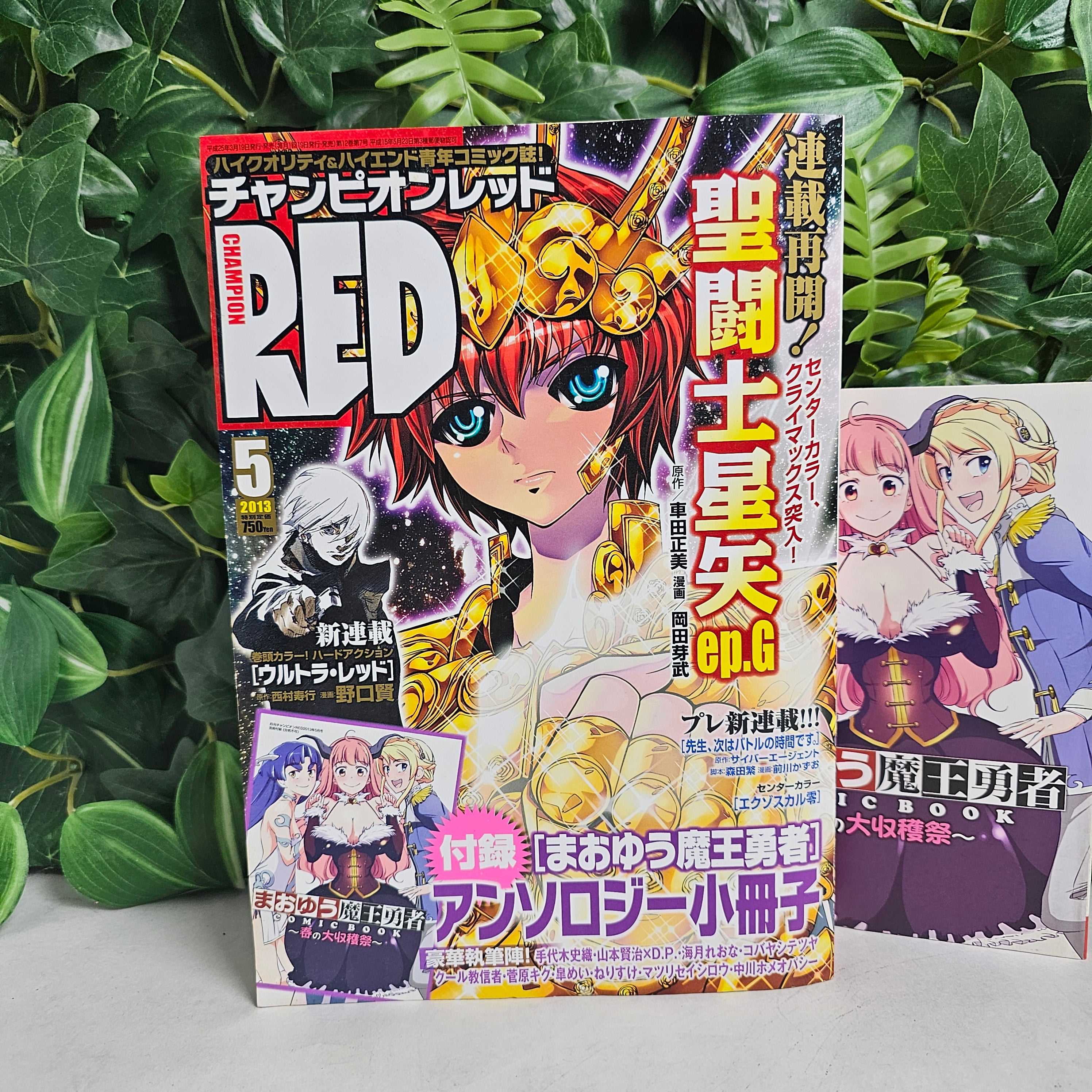 Champion Red n°5 (2013)