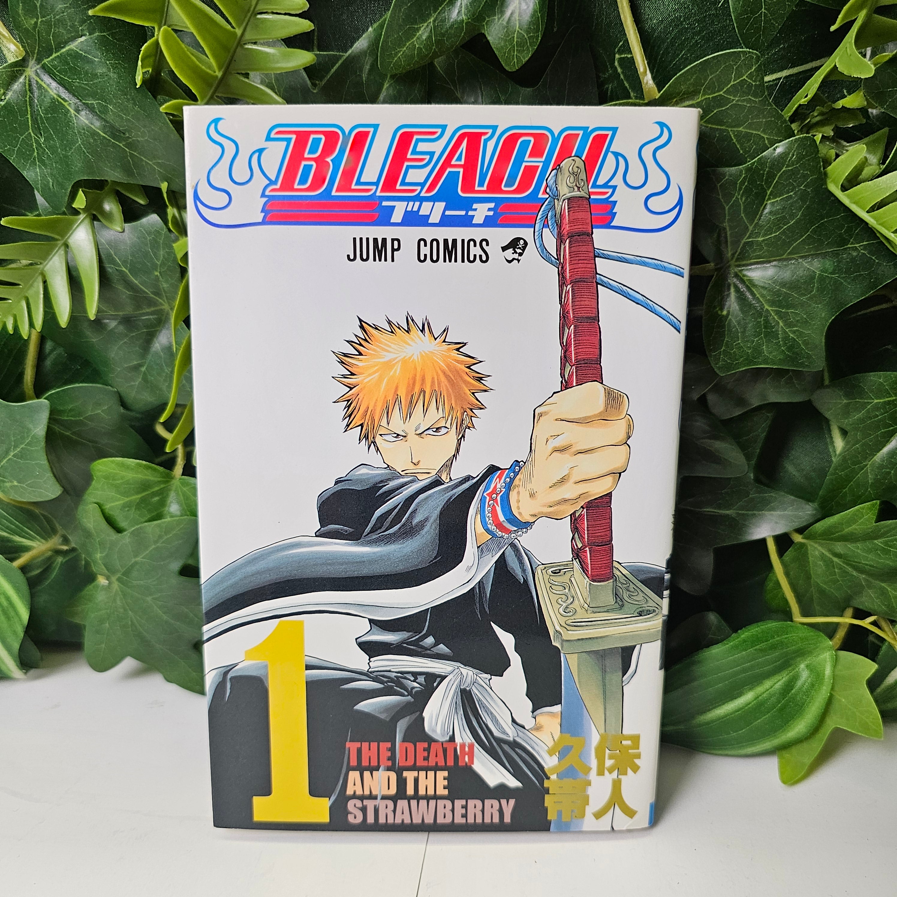 Bleach - Tome 1 (VO)