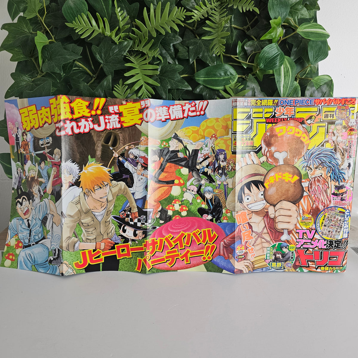 Weekly Shonen Jump n°3-4 (2011) (One Piece)