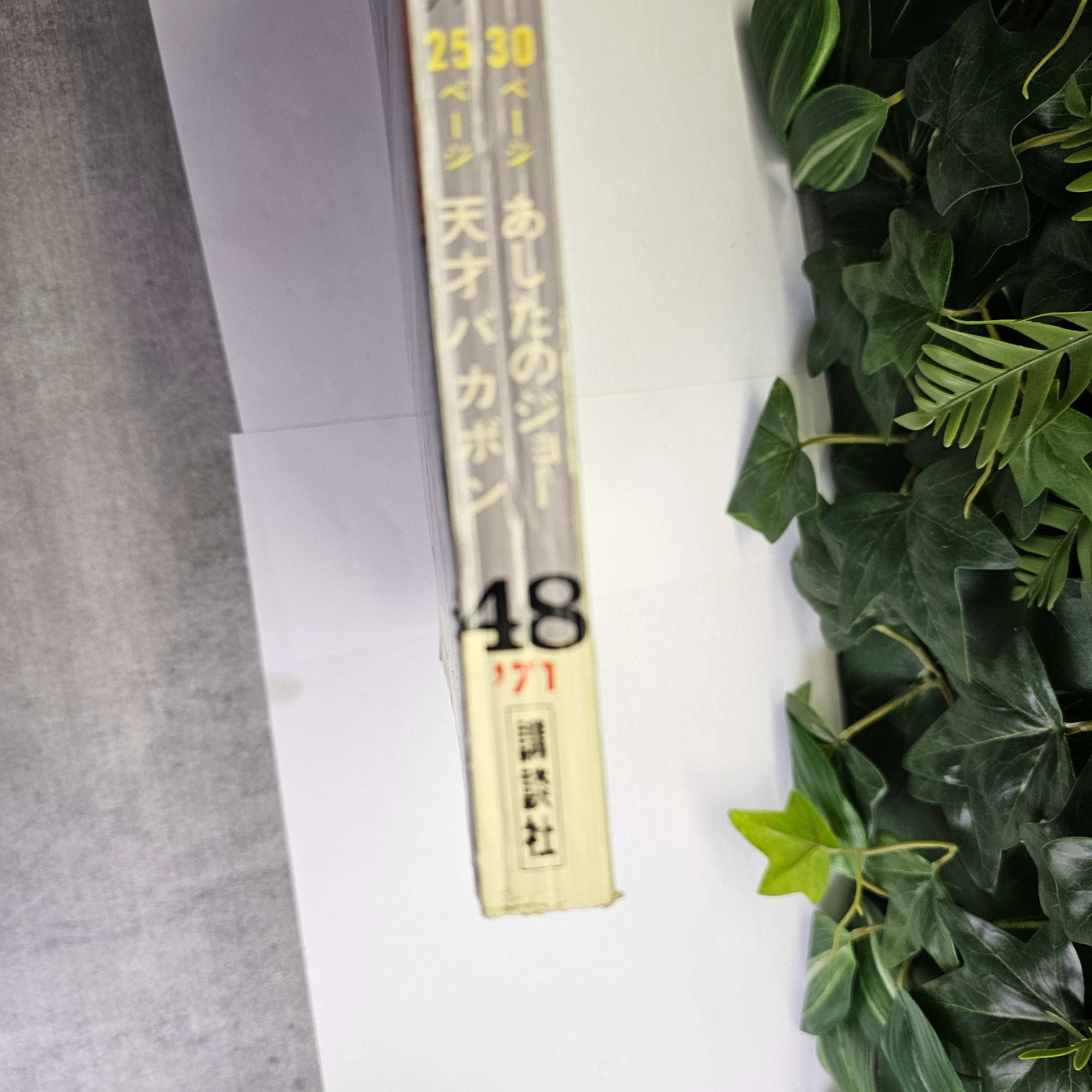 Weekly Shonen Magazine n°48 (1971)