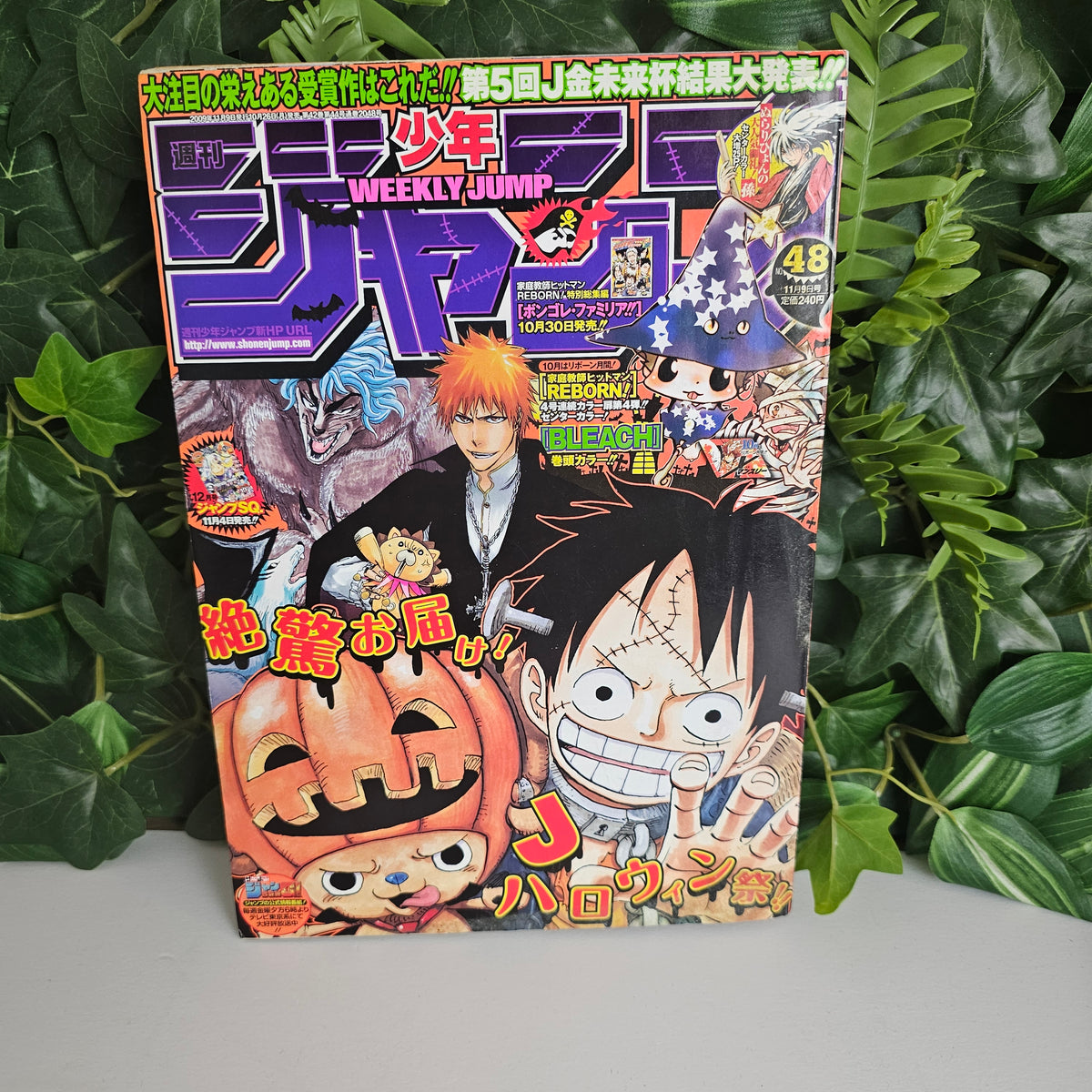 Weekly Shonen Jump n°48 (2009) (One Piece)
