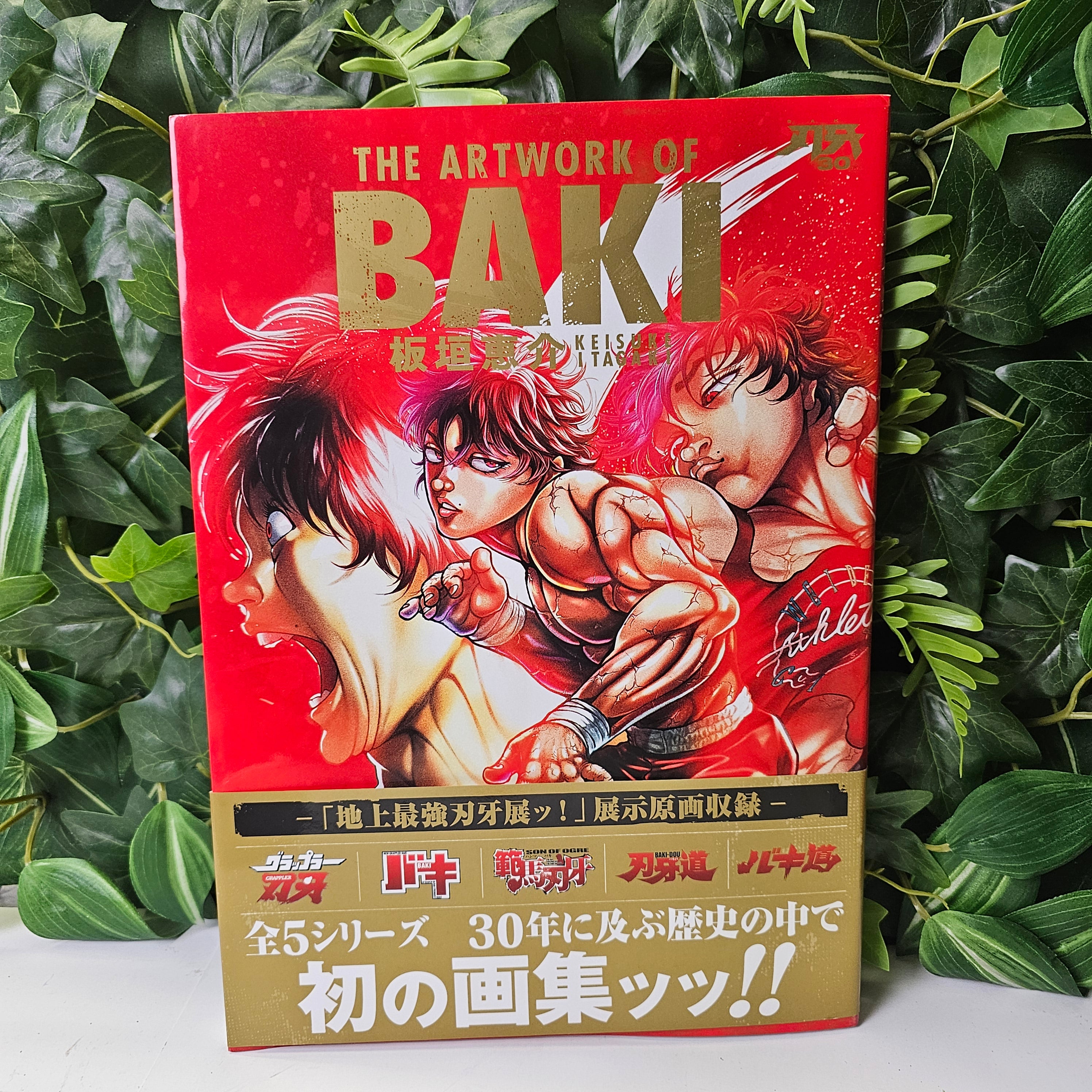 Baki 30th : The Artwork of Baki