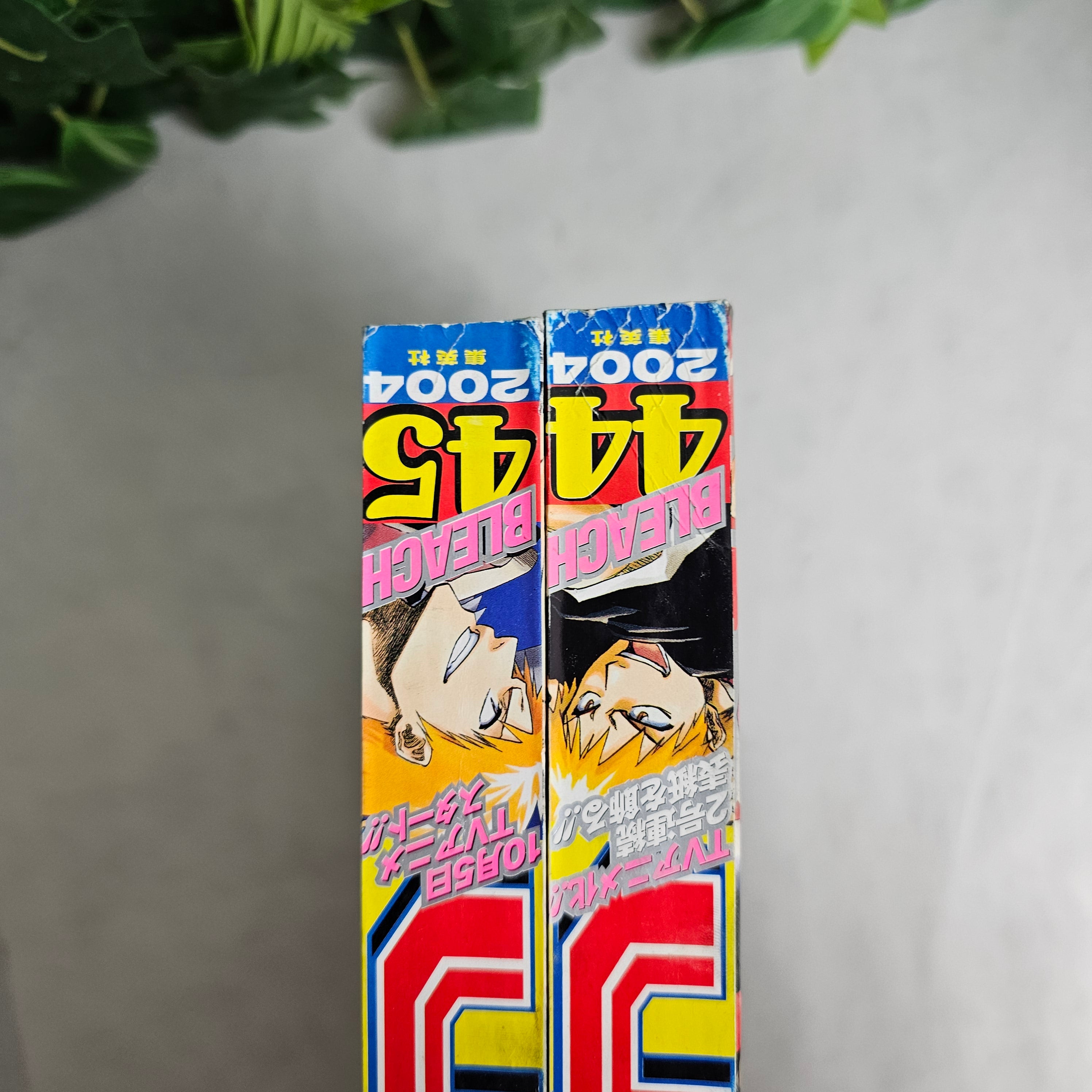 Weekly Shonen Jump n°44 + 45 (2004)