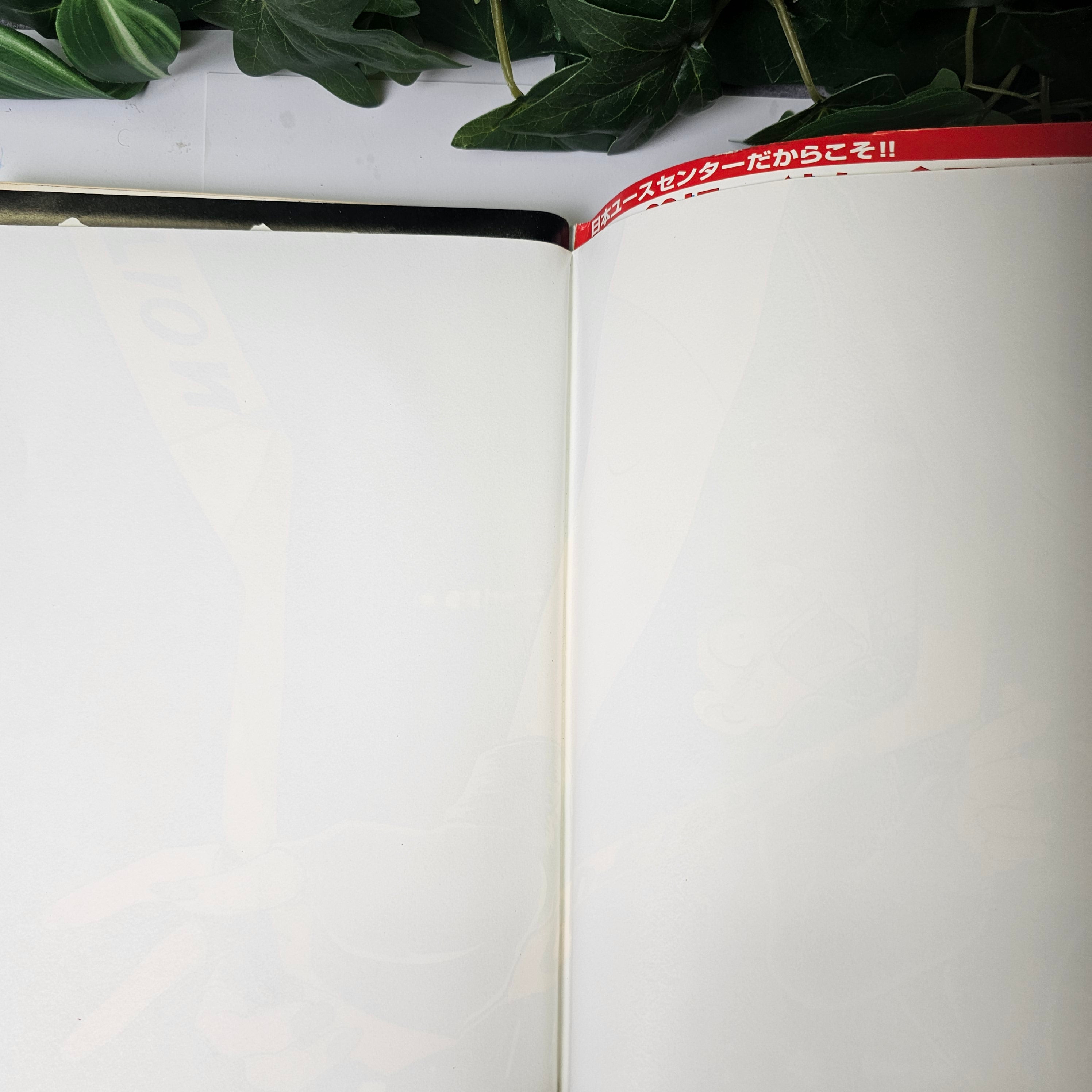 Young King n°3 (2000)