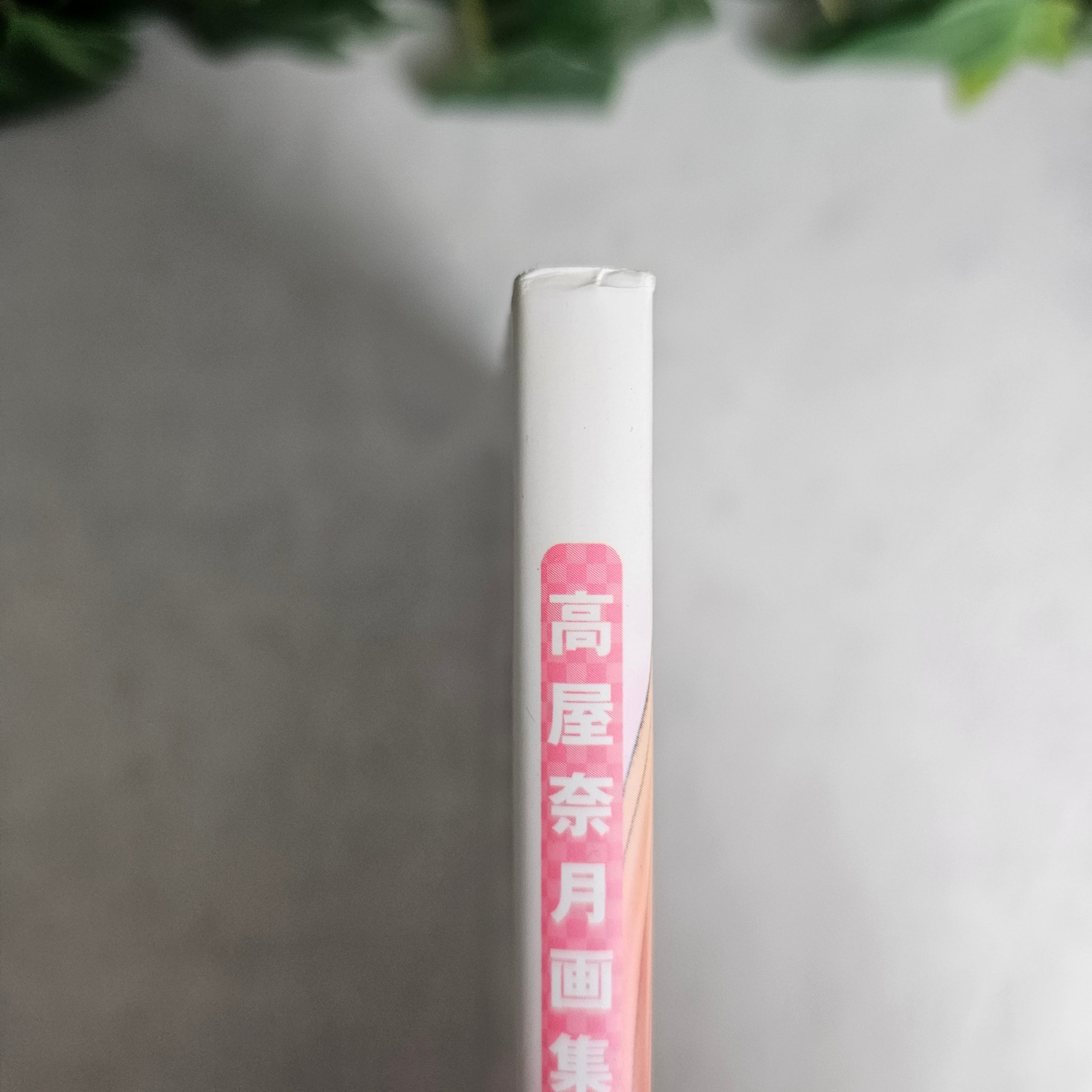 Artbook - Fruit Basket