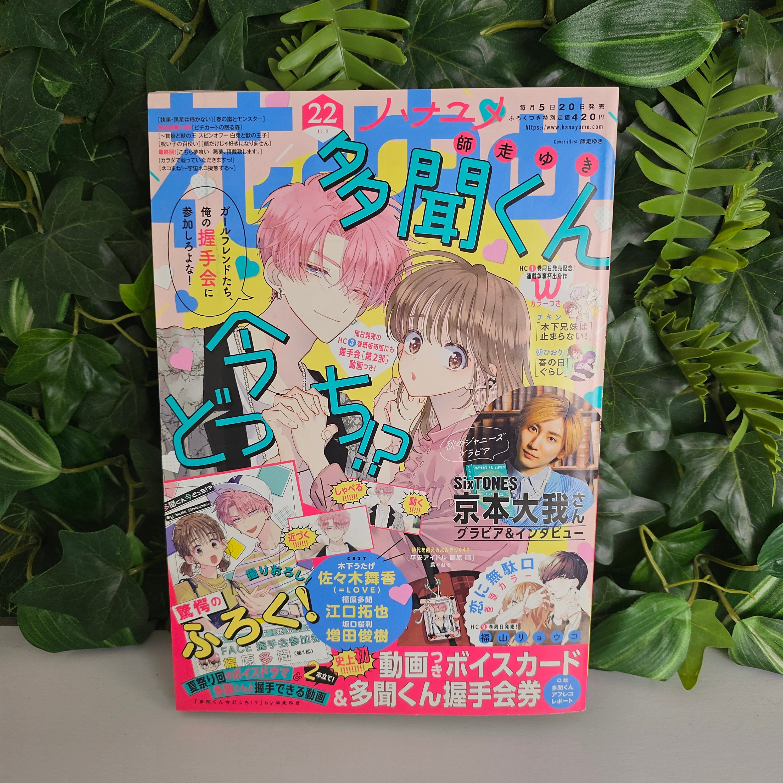 Hana To Yume n°22 (2022) (Tamon's B-Side)