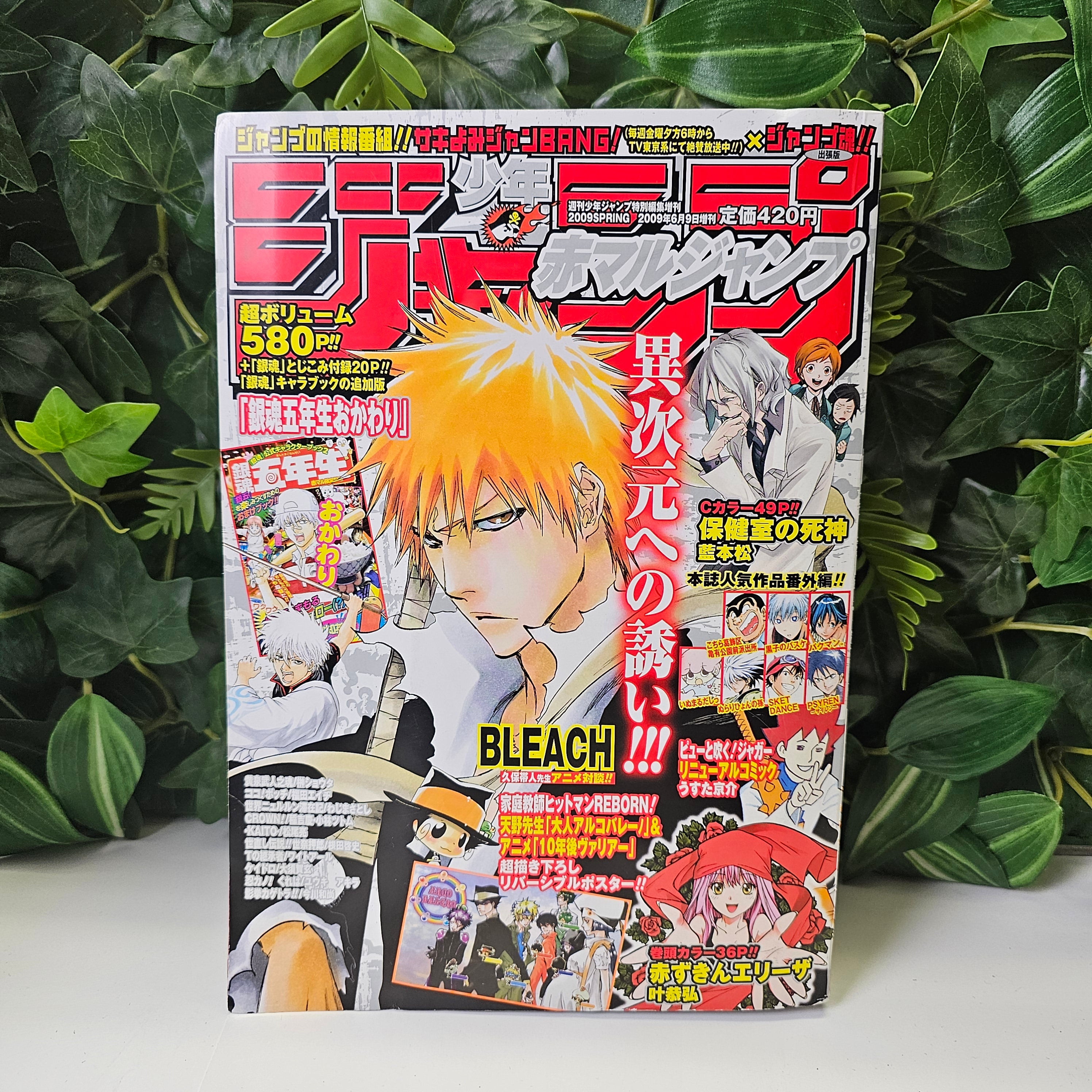 Akamaru Jump Spring (2009)