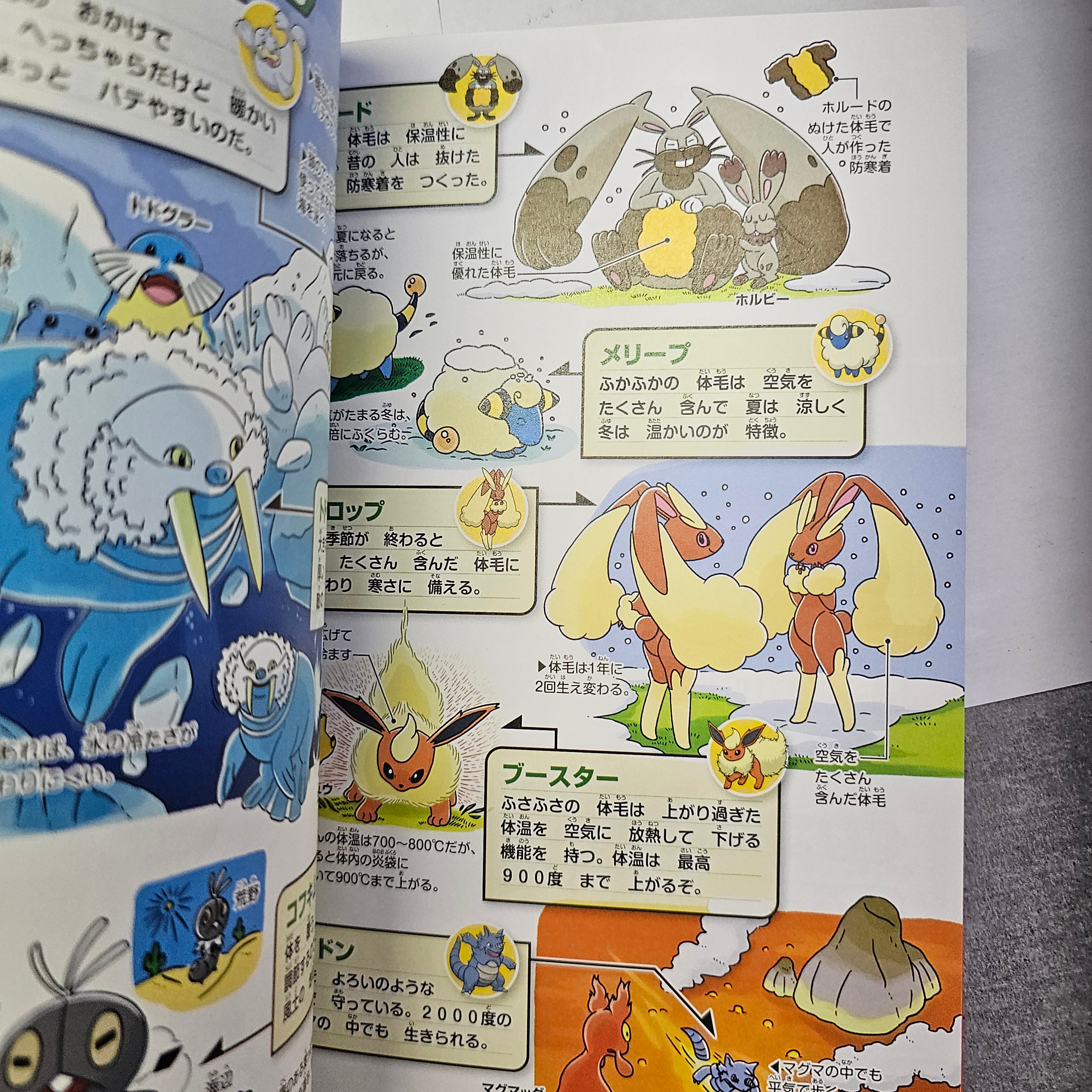 Artbook Pokémon "Pokecology"