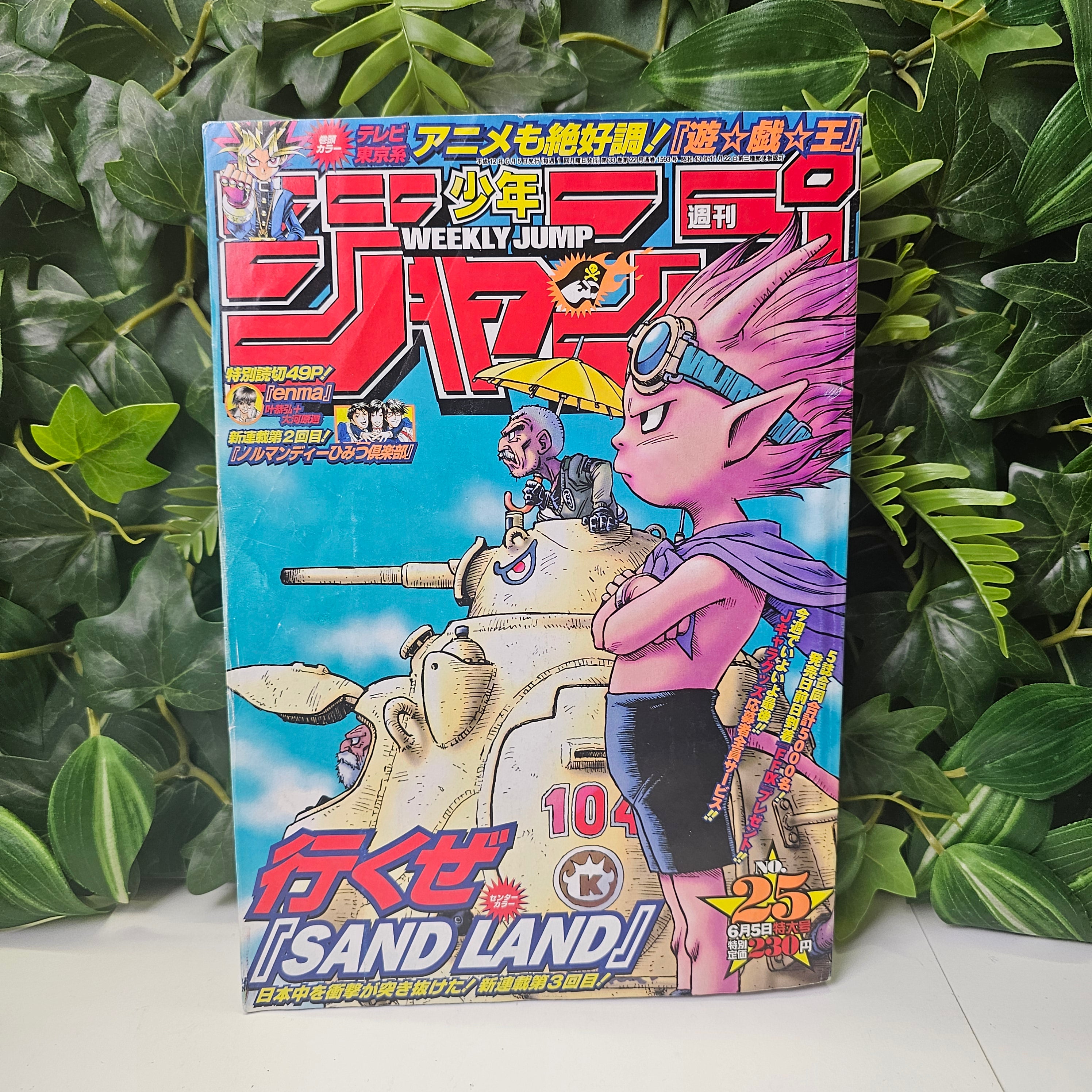 Weekly Shonen Jump n°25 (2000)