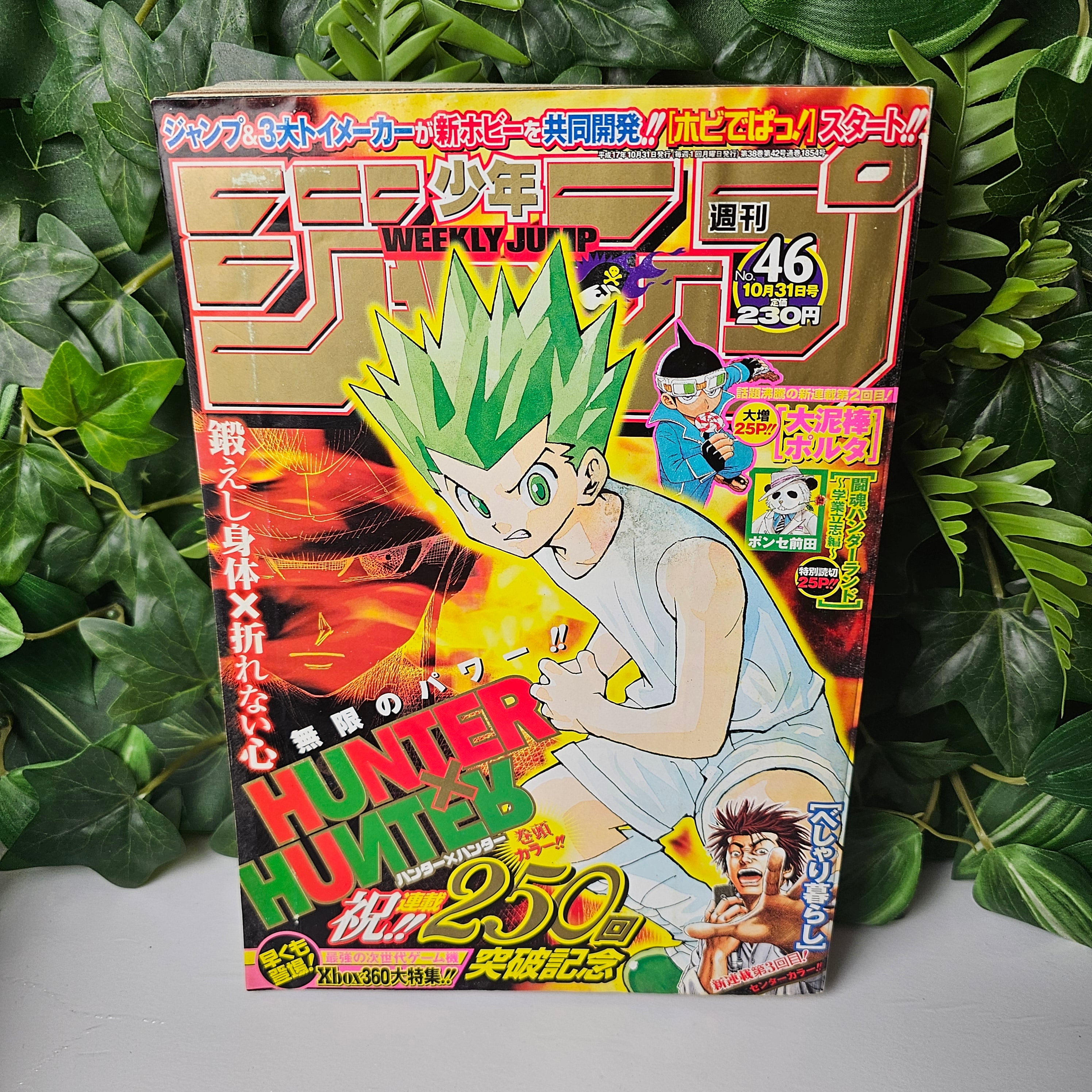 Weekly Shonen Jump n°46 (2005) (Hunter x Hunter)